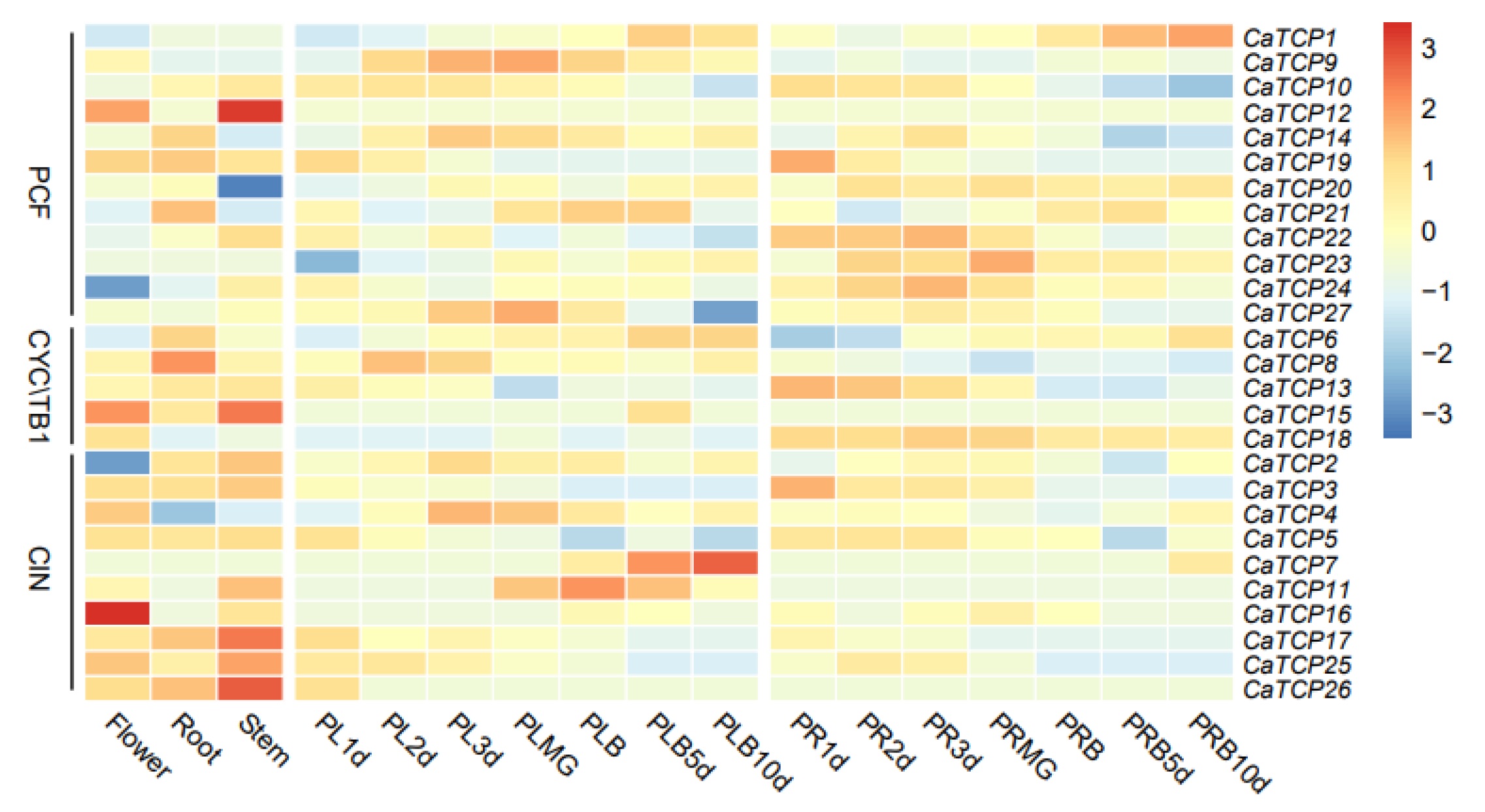 Plants 13 00641 g007