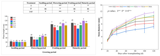 Effects of Aerated Drip Irrigation on the Soil Nitrogen