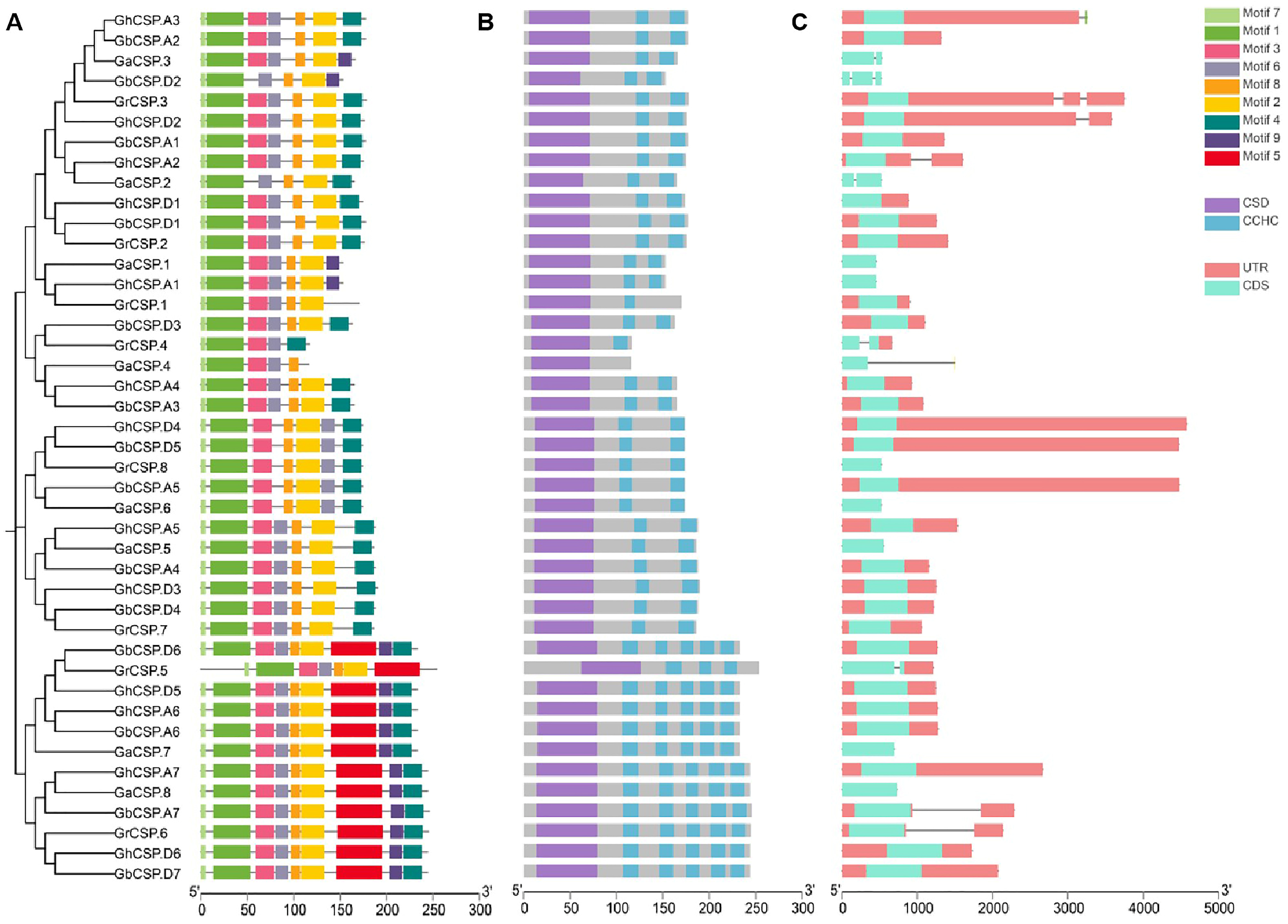 Plants 13 00643 g002