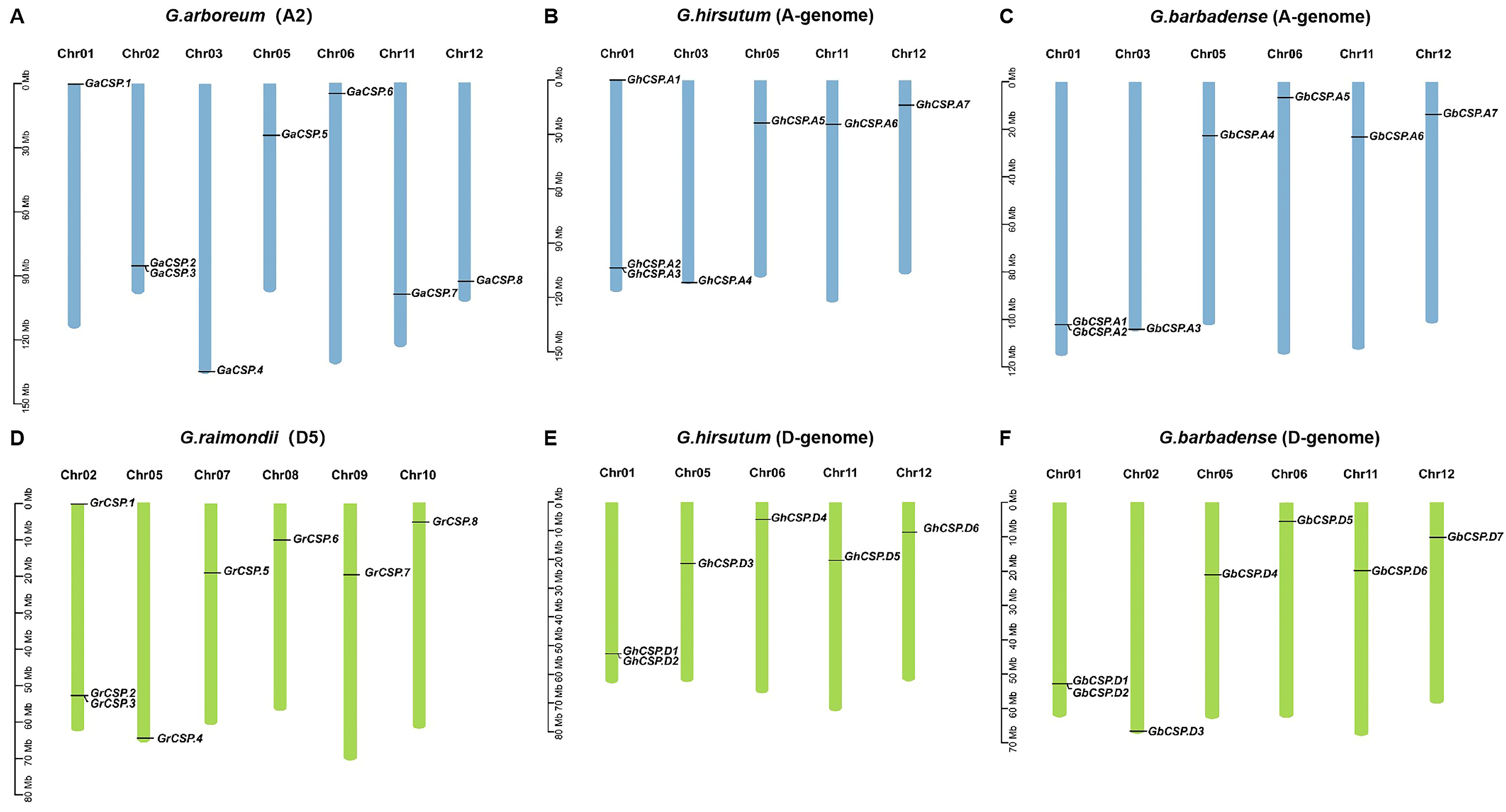 Plants 13 00643 g003