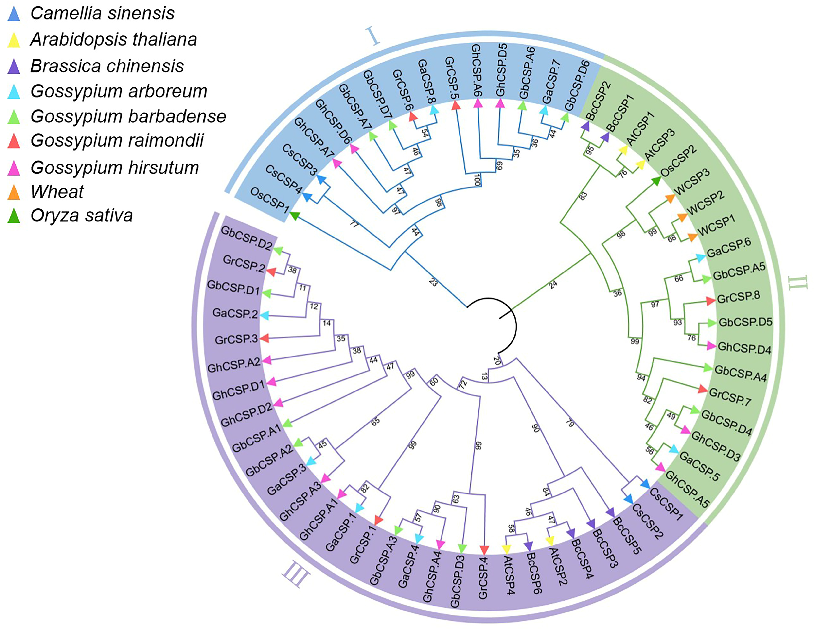 Plants 13 00643 g005
