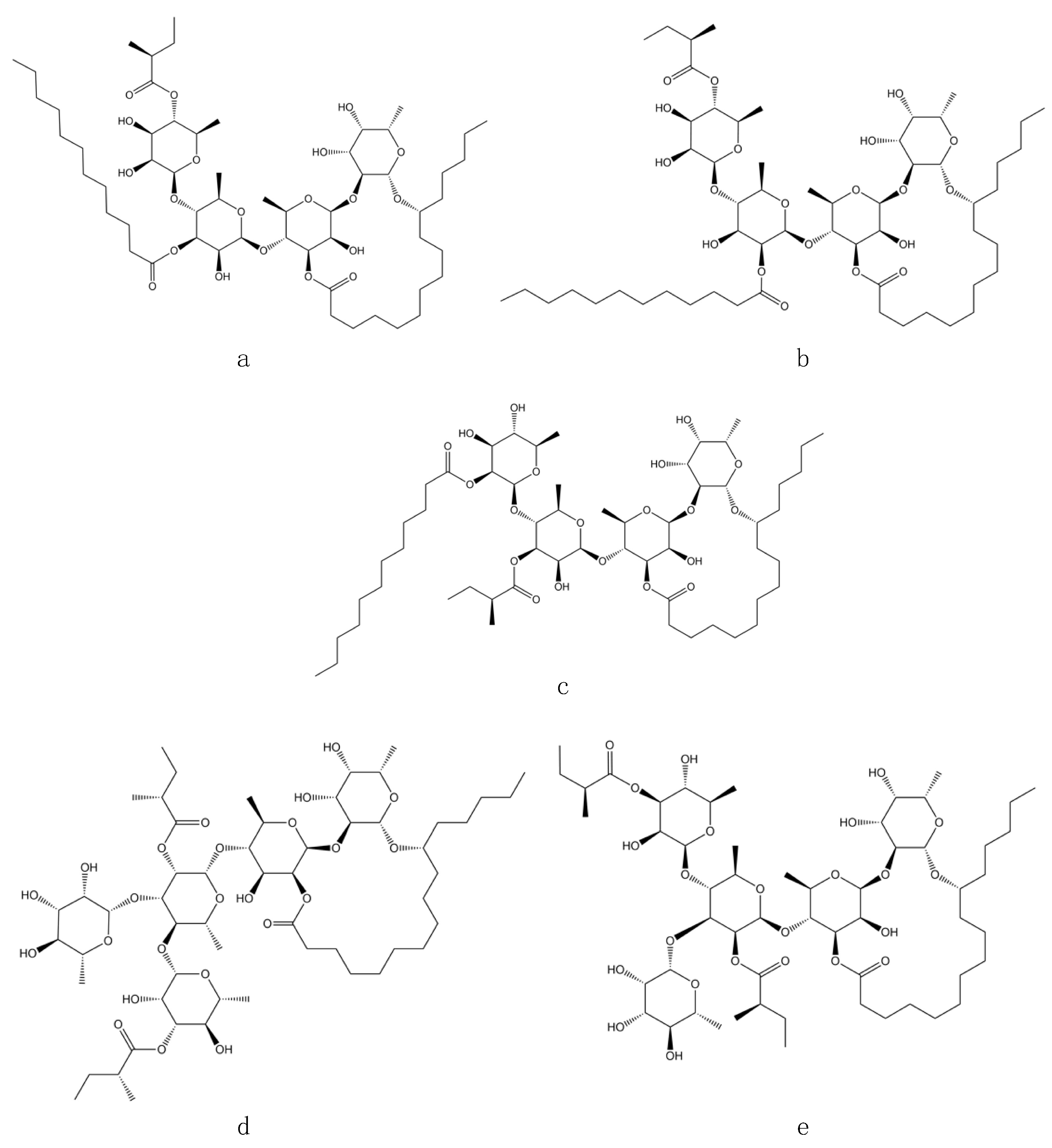 Plants 13 00644 g001