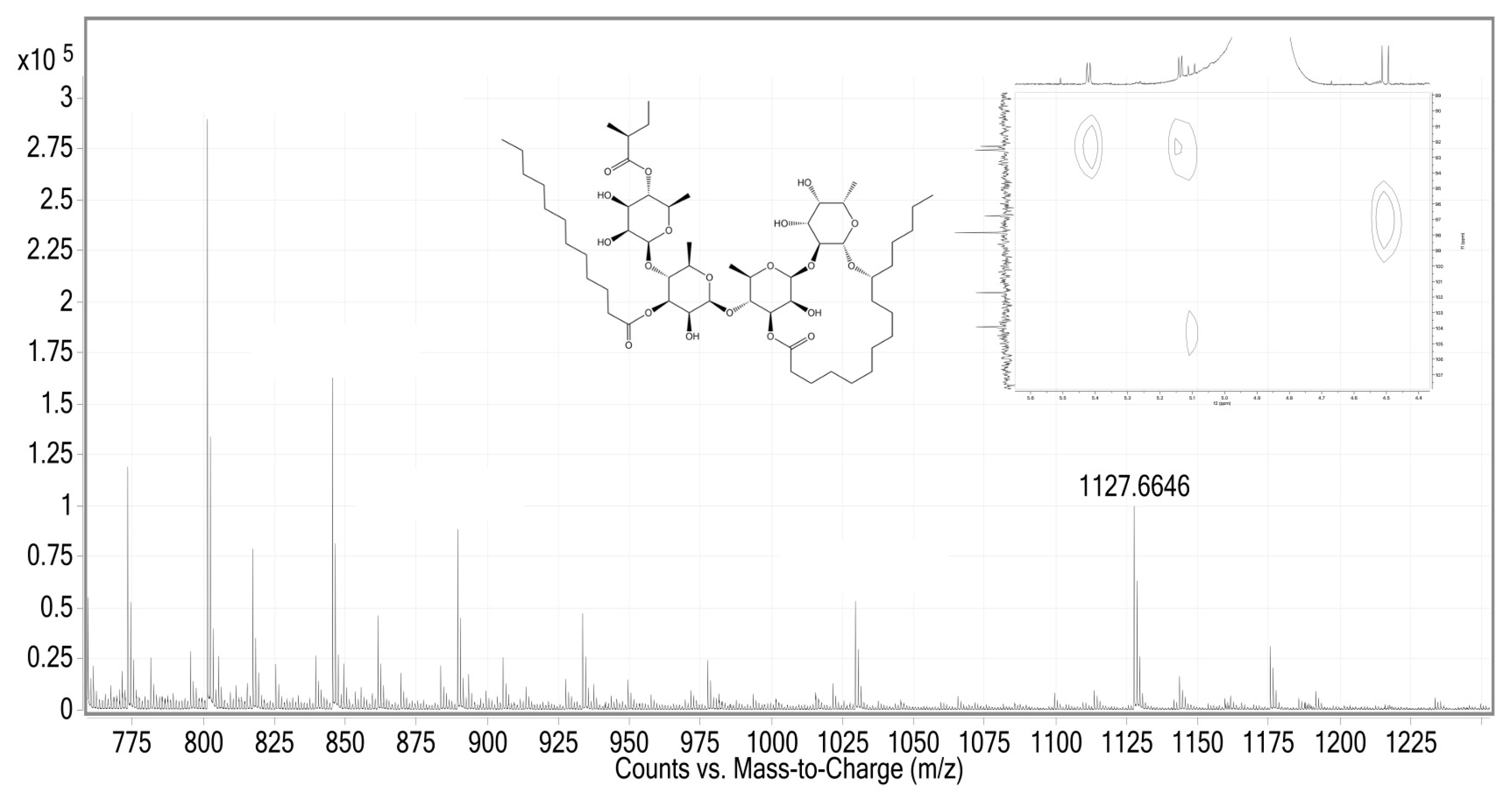 Plants 13 00644 g002