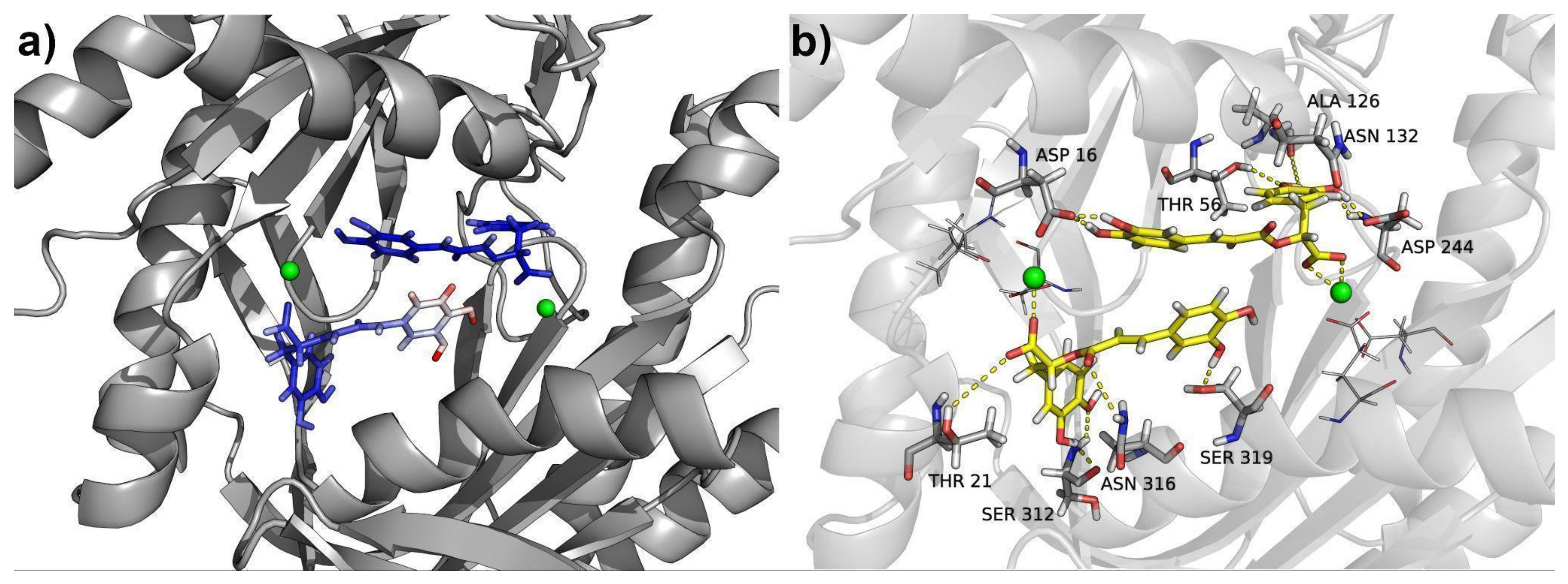 Plants 13 00646 g009