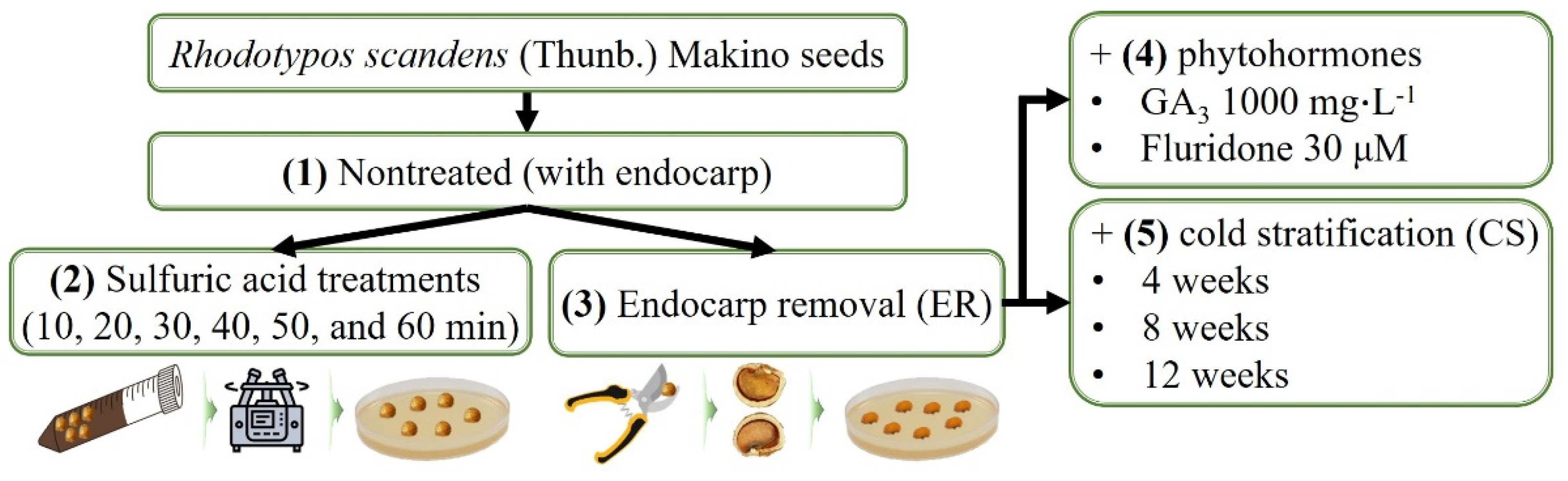 Plants 13 00648 g005
