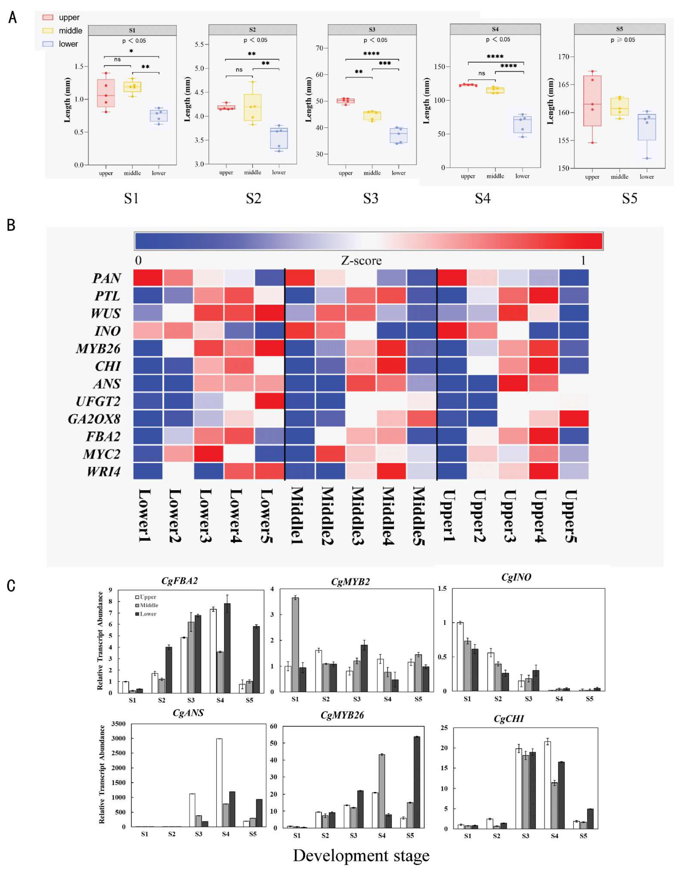 Plants 13 00649 g006