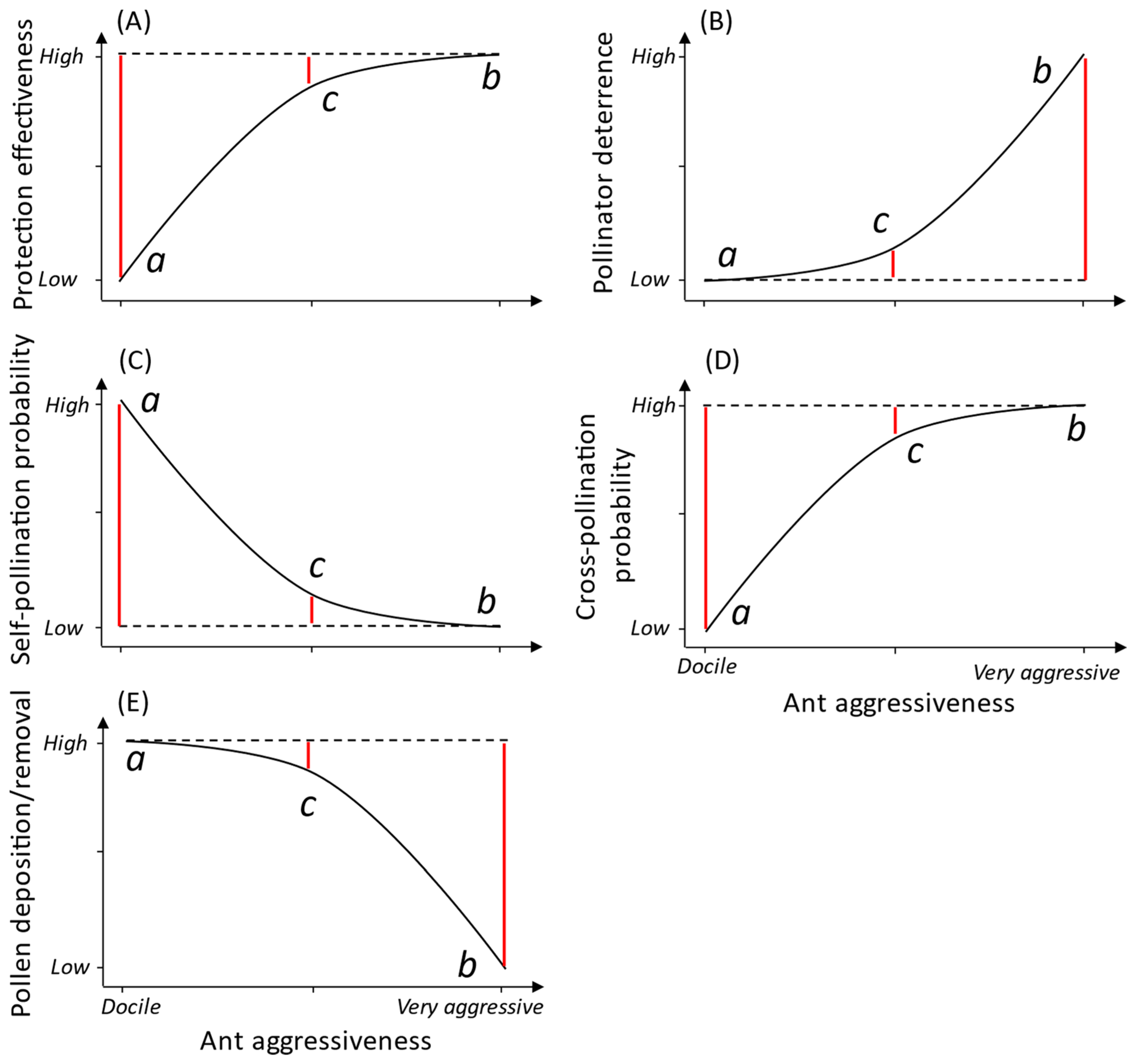 Plants 13 00651 g003