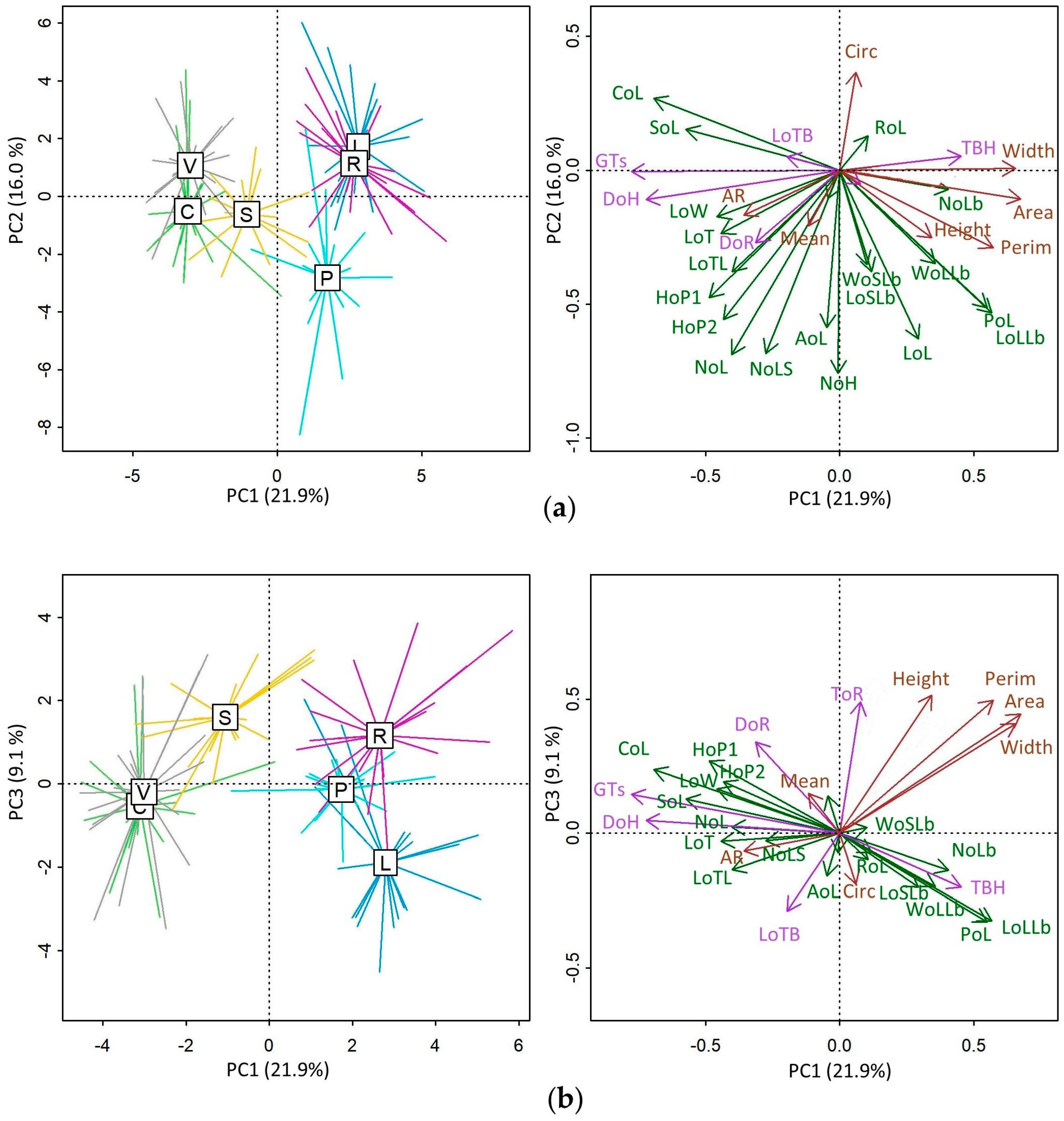 Plants 13 00654 g002 Plants 13 00654 g002