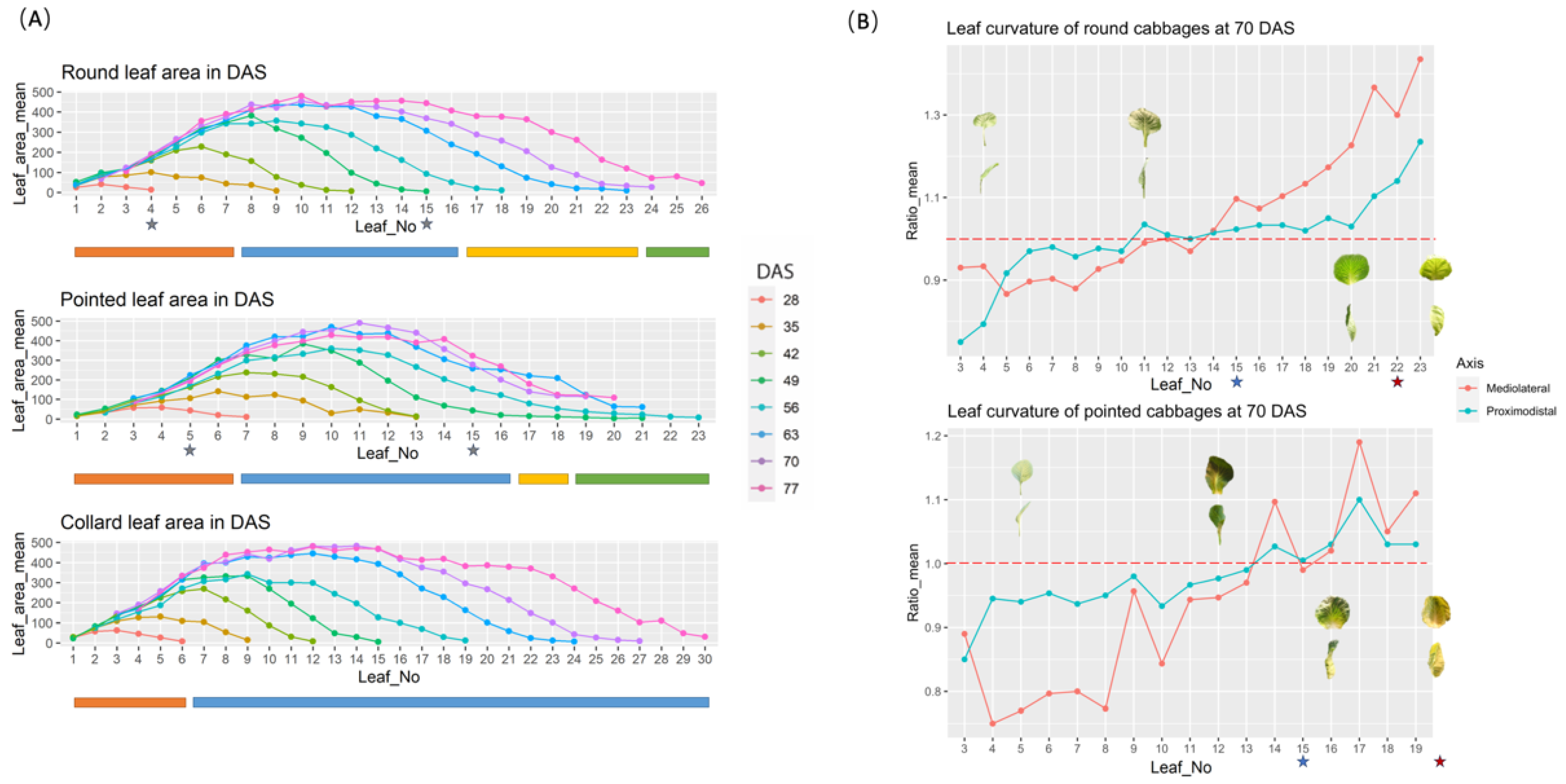 Plants 13 00656 g004