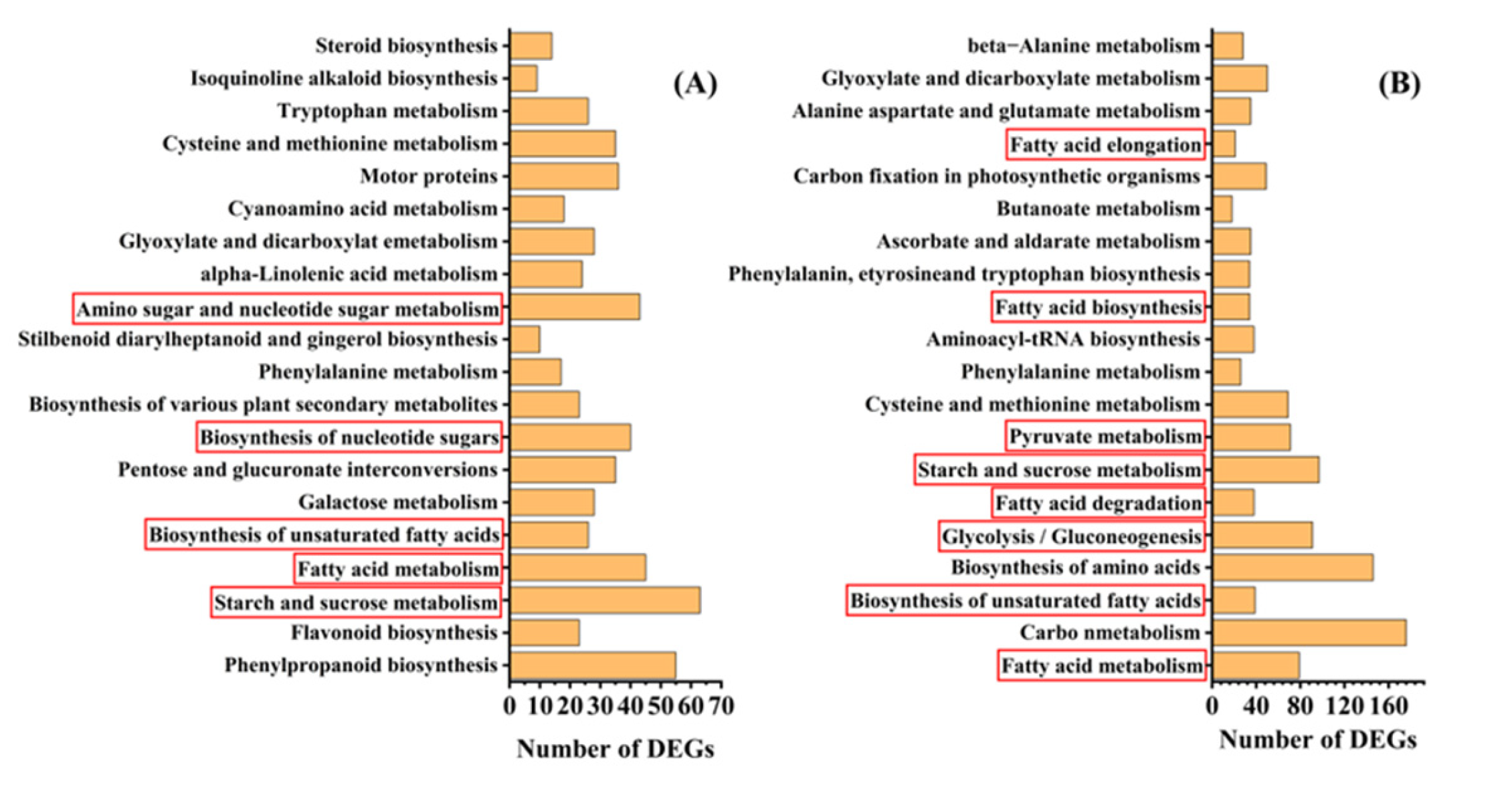 Plants 13 00659 g004