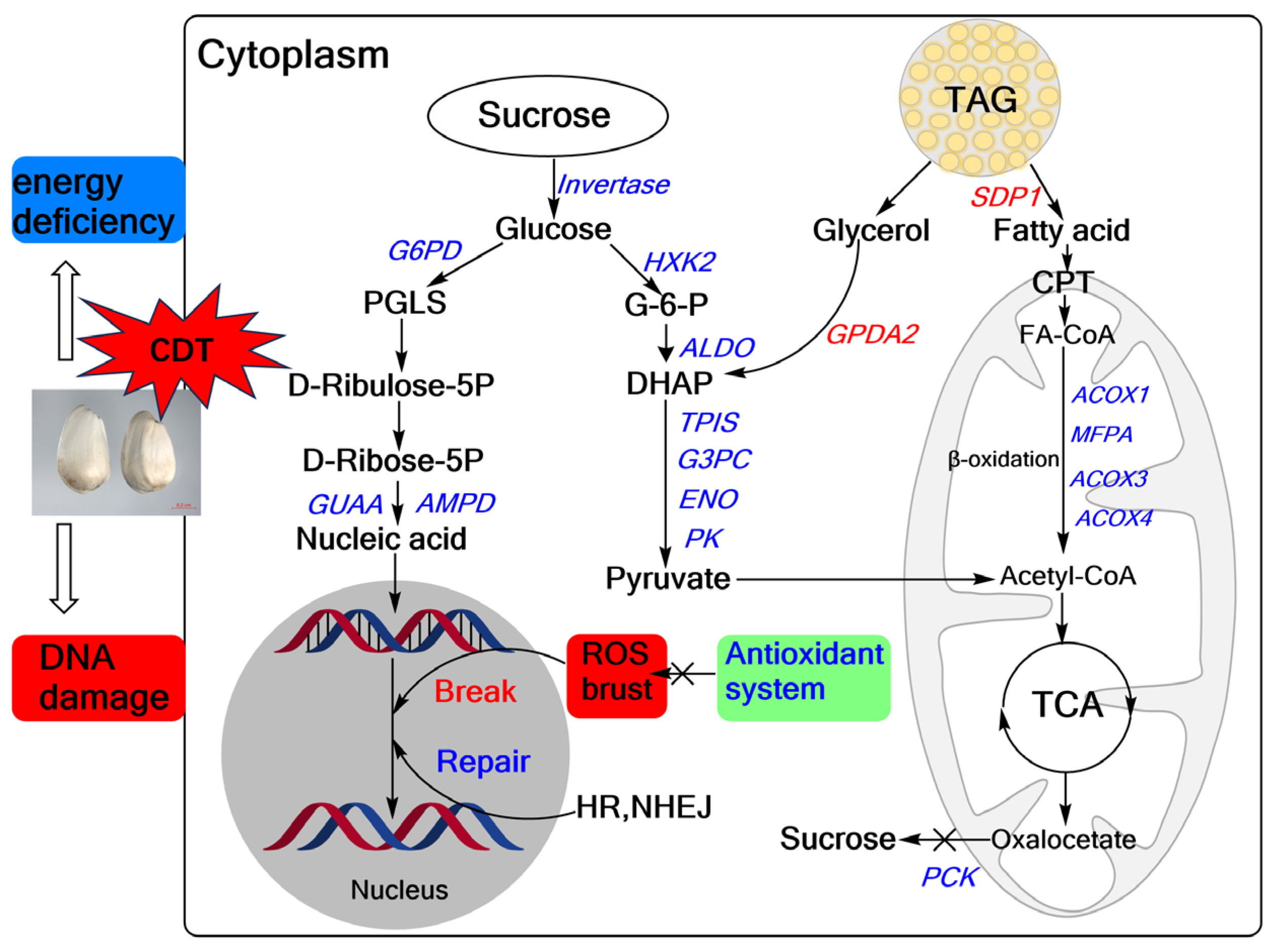 Plants 13 00659 g009