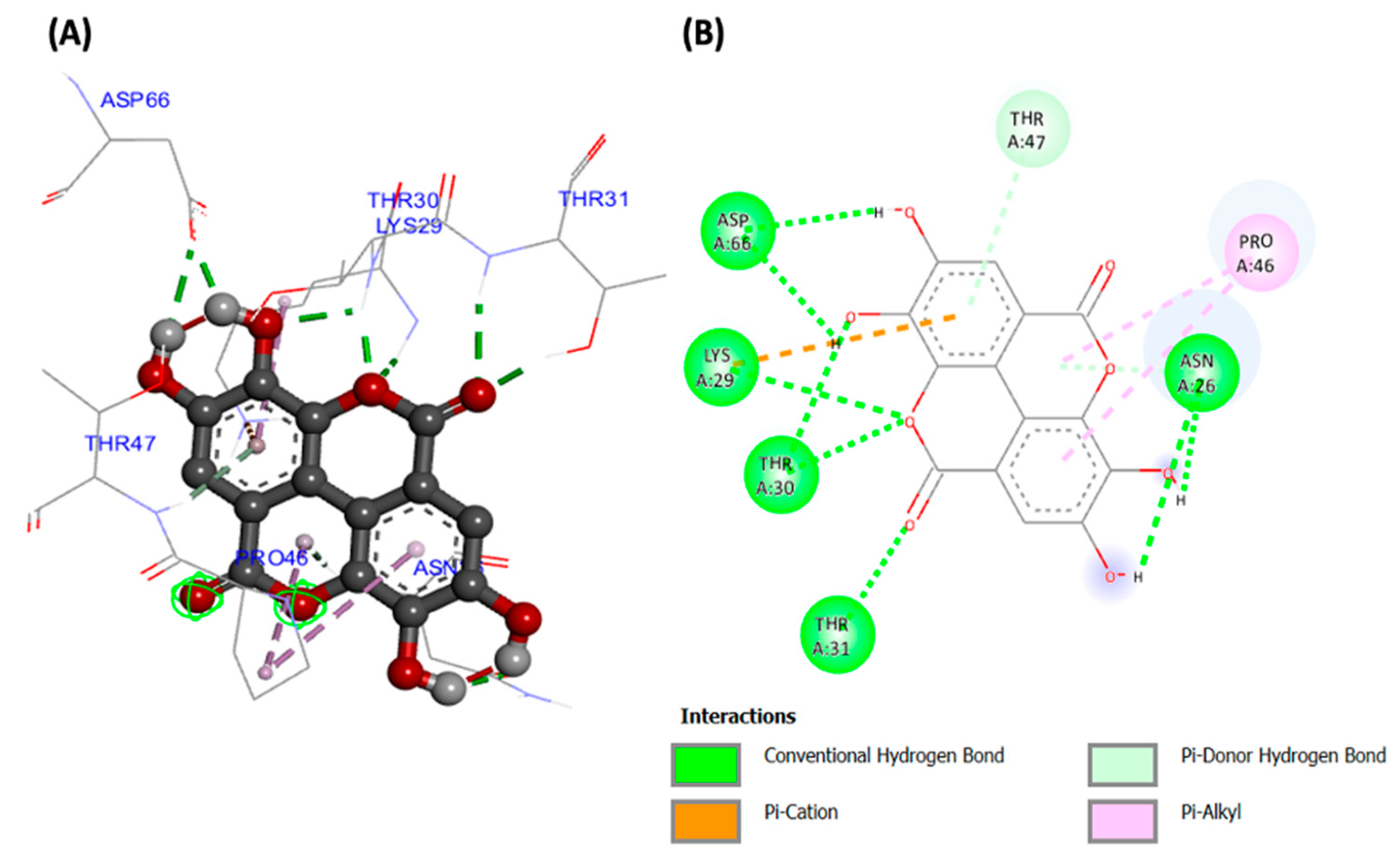 Plants 13 00665 g007