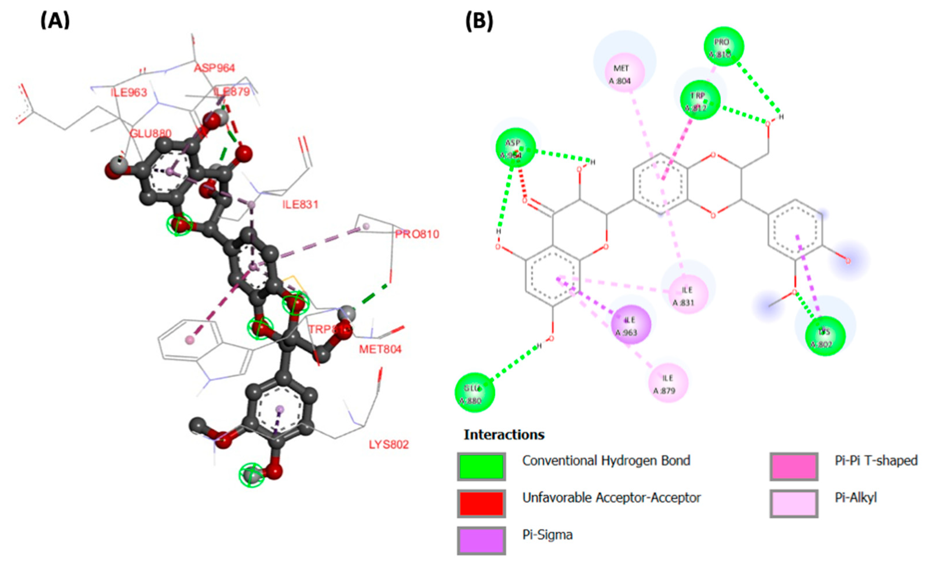 Plants 13 00665 g008