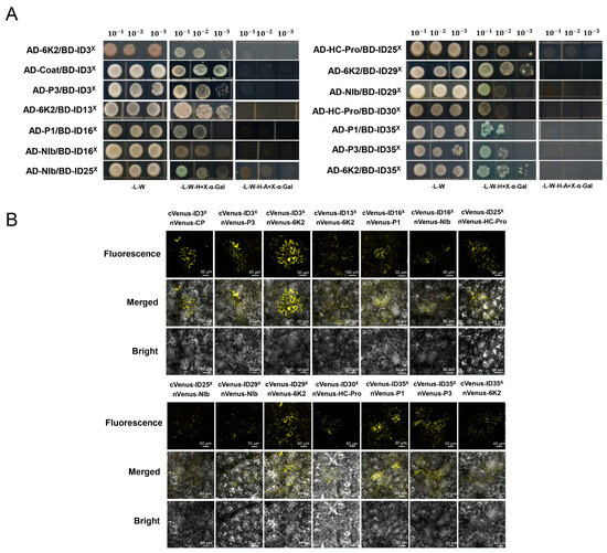 Development of an NLR-ID Toolkit and Identification of Novel