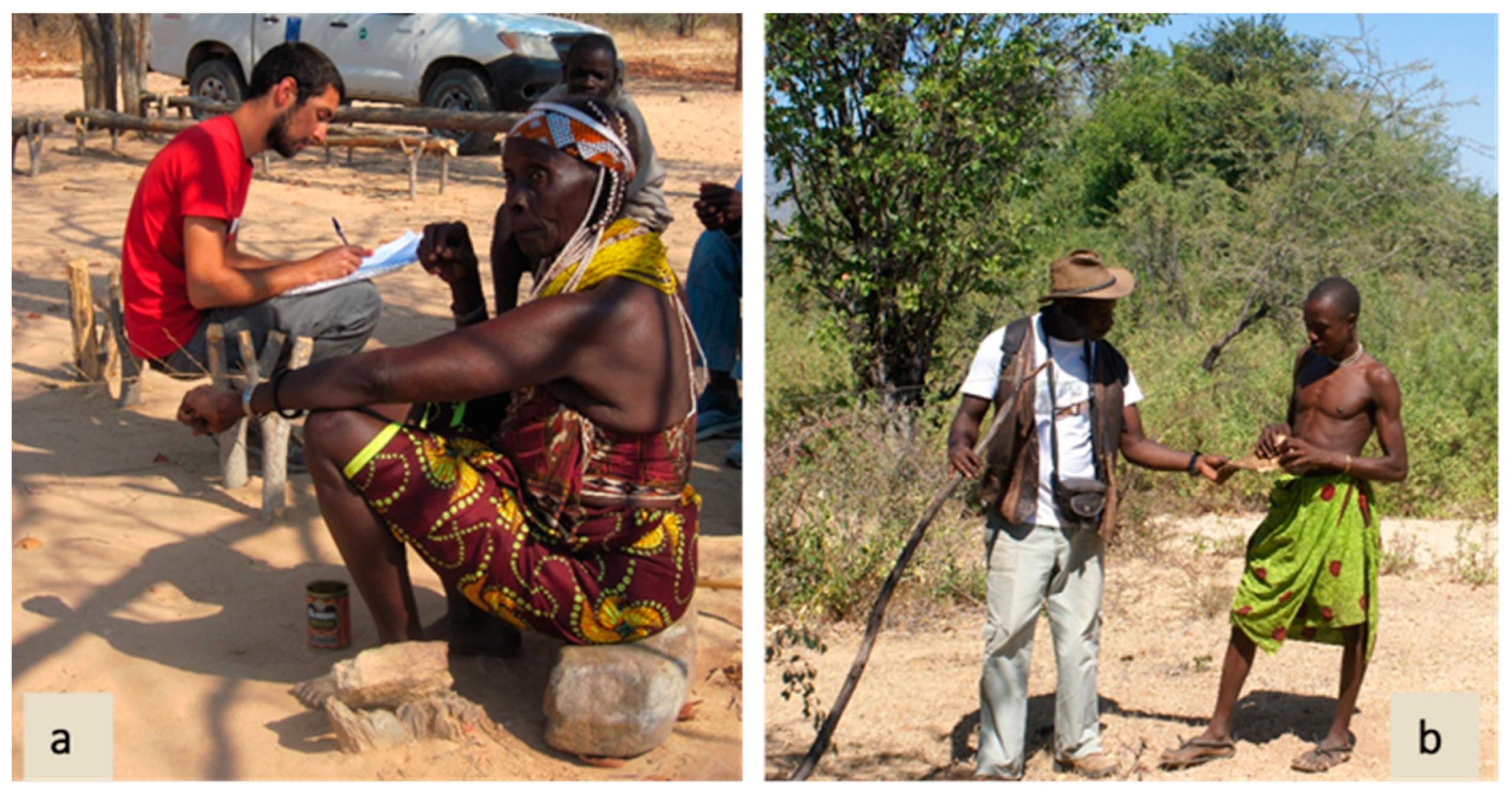 Plants 13 00670 g003 Plants 13 00670 g003