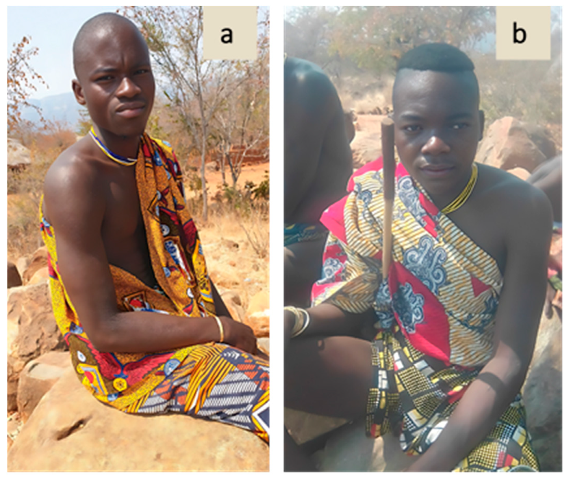 Plants 13 00670 g008 Plants 13 00670 g008