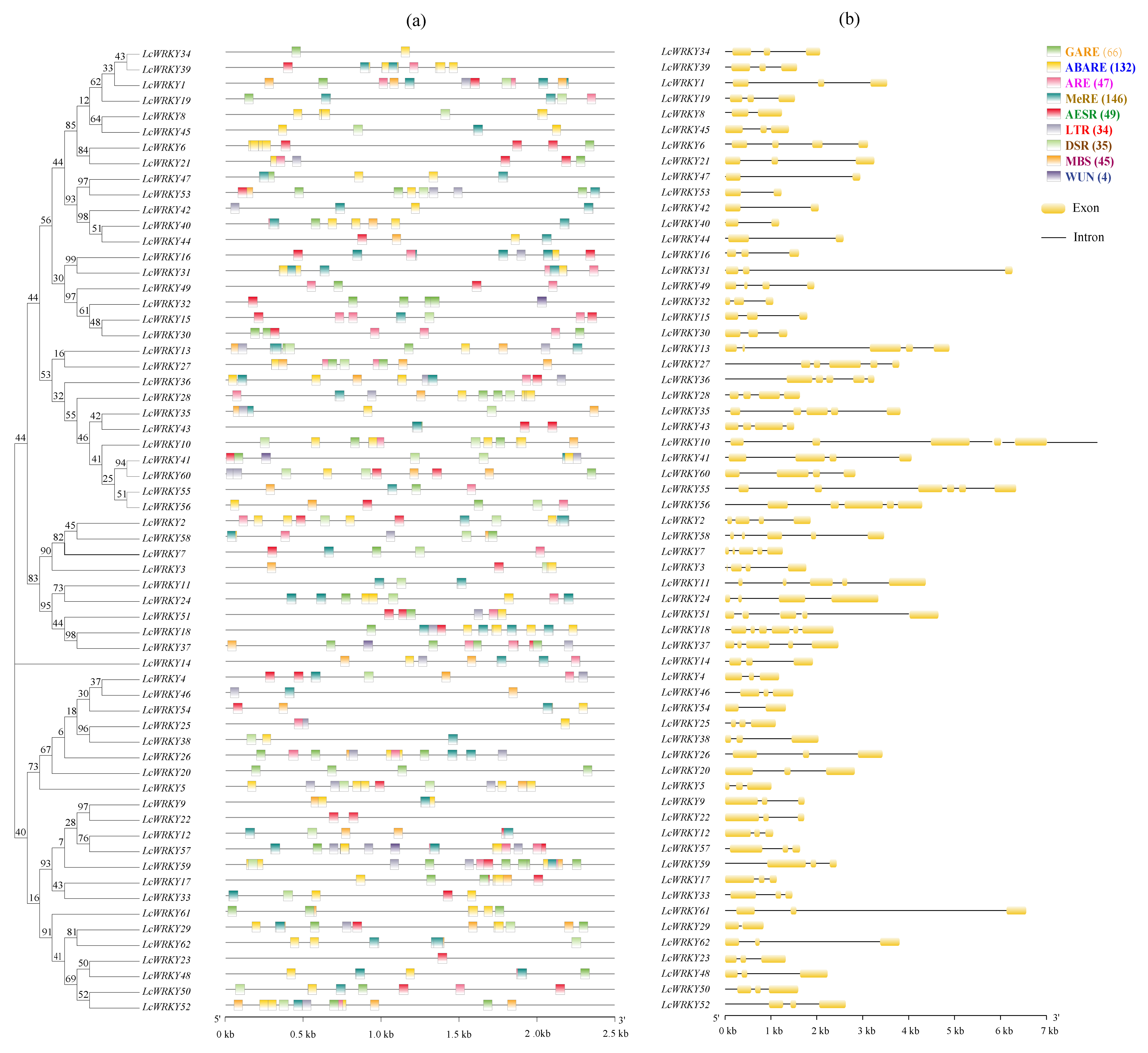 Plants 13 00676 g002