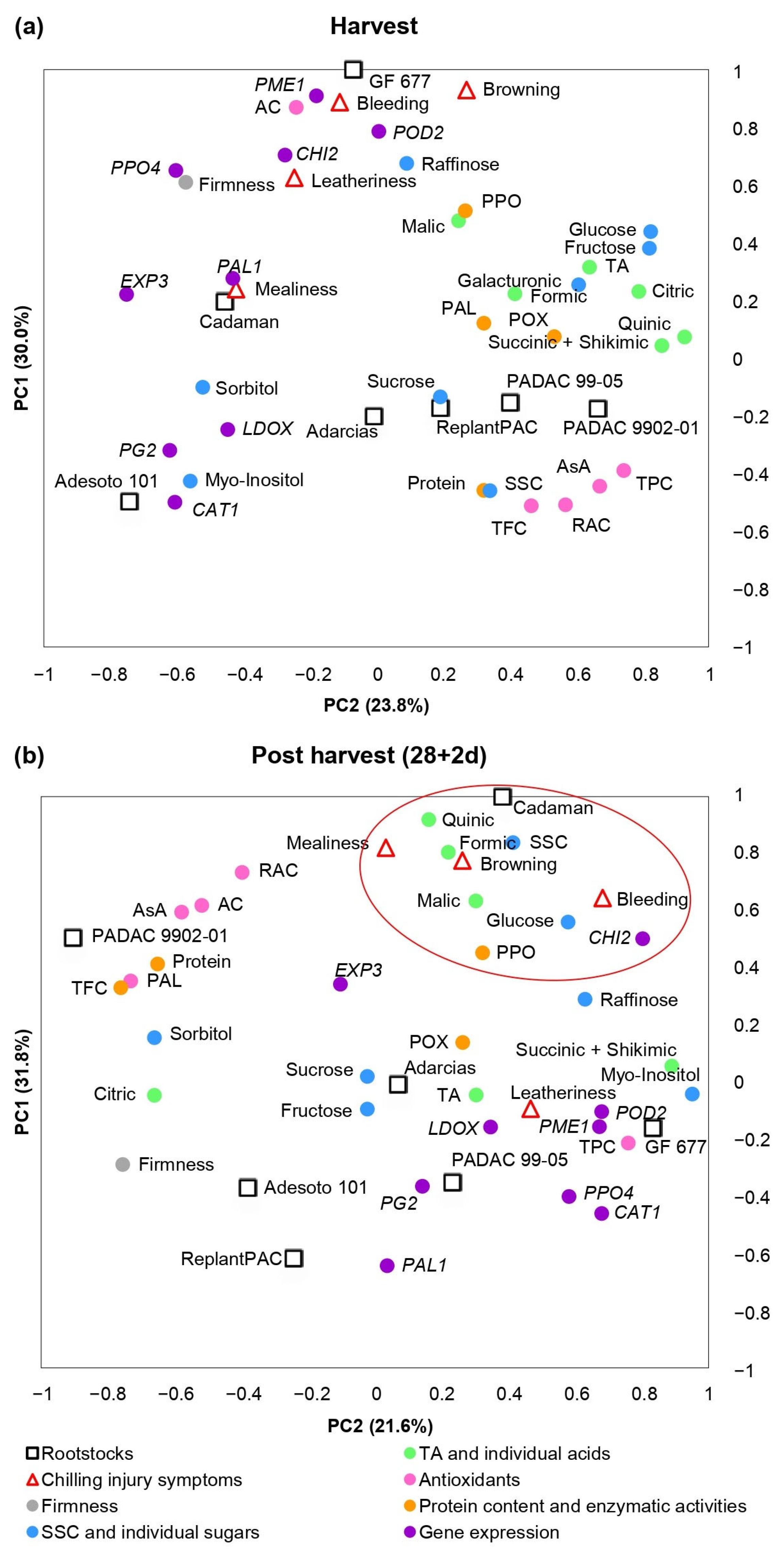 Plants 13 00677 g005