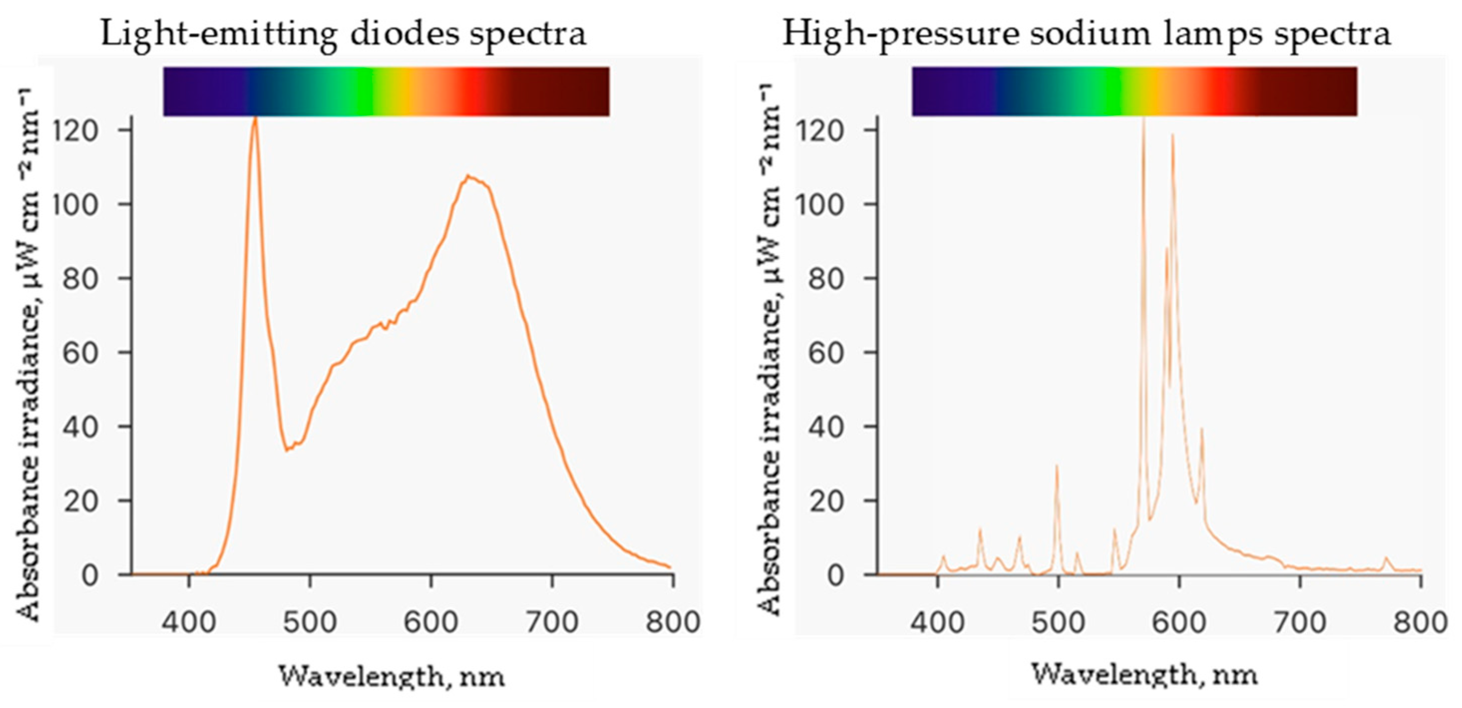 Plants 13 00681 g002