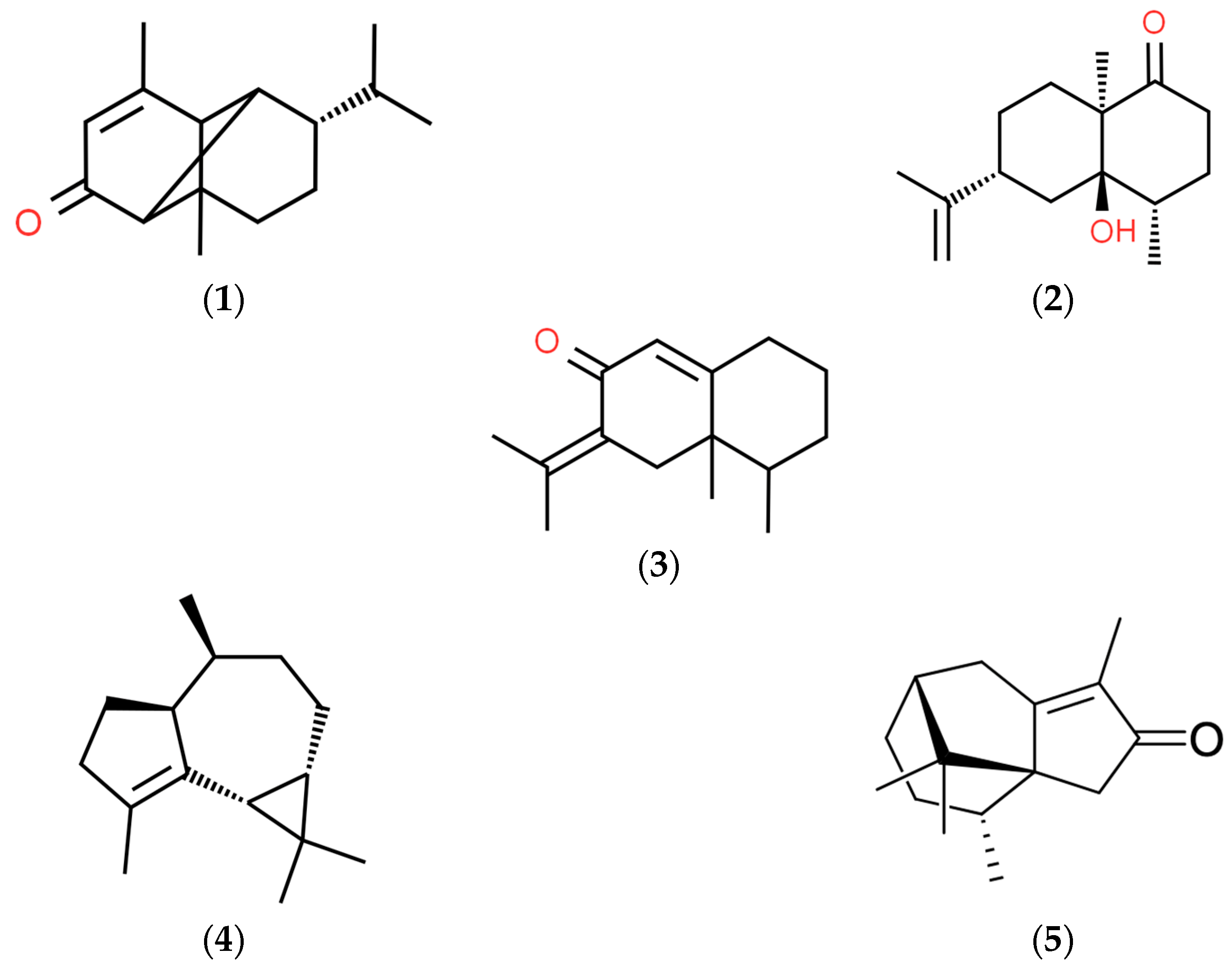 Plants 13 00689 g001