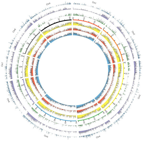Development and Assessment of SNP Genotyping Arrays for