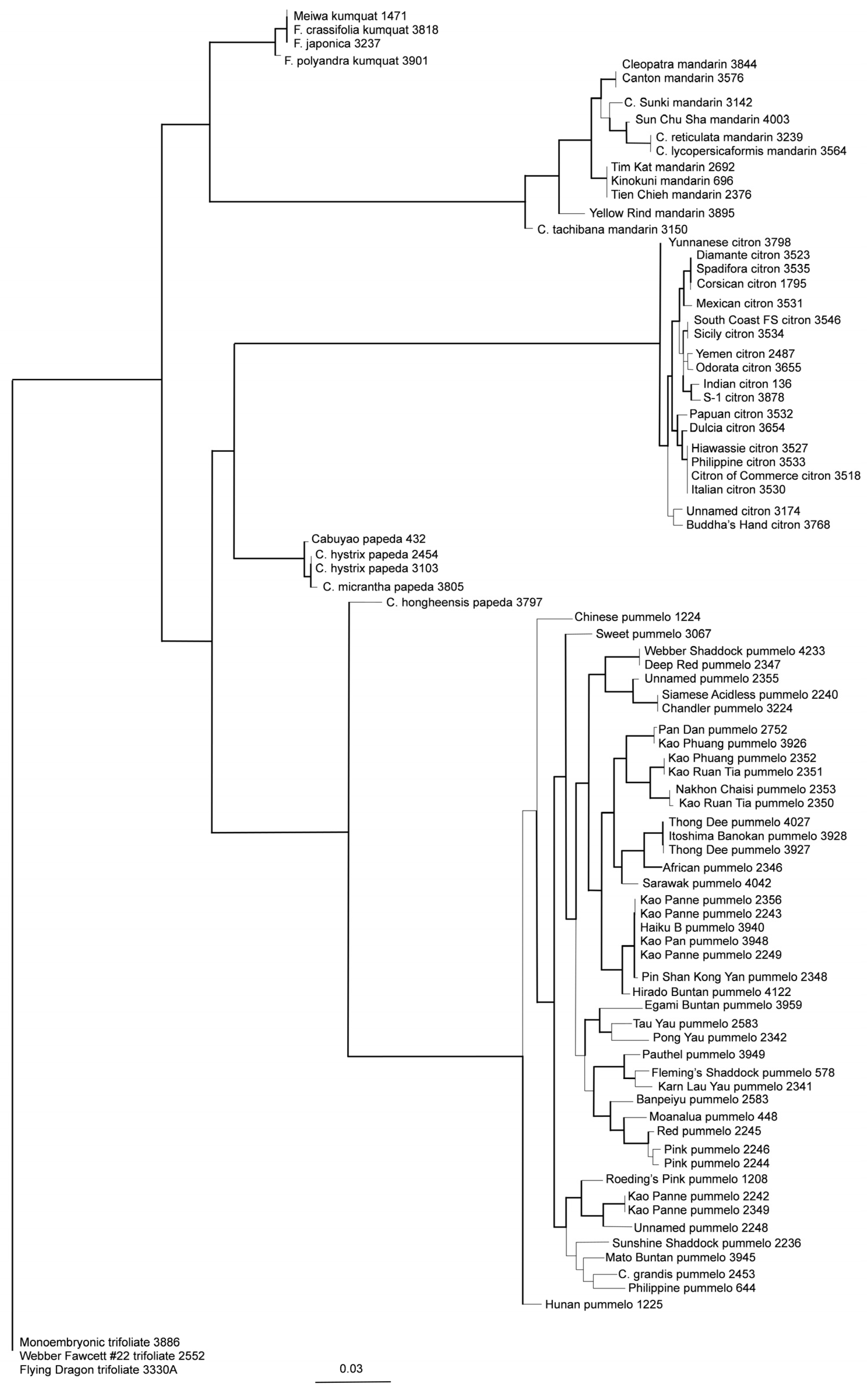 Plants 13 00691 g009