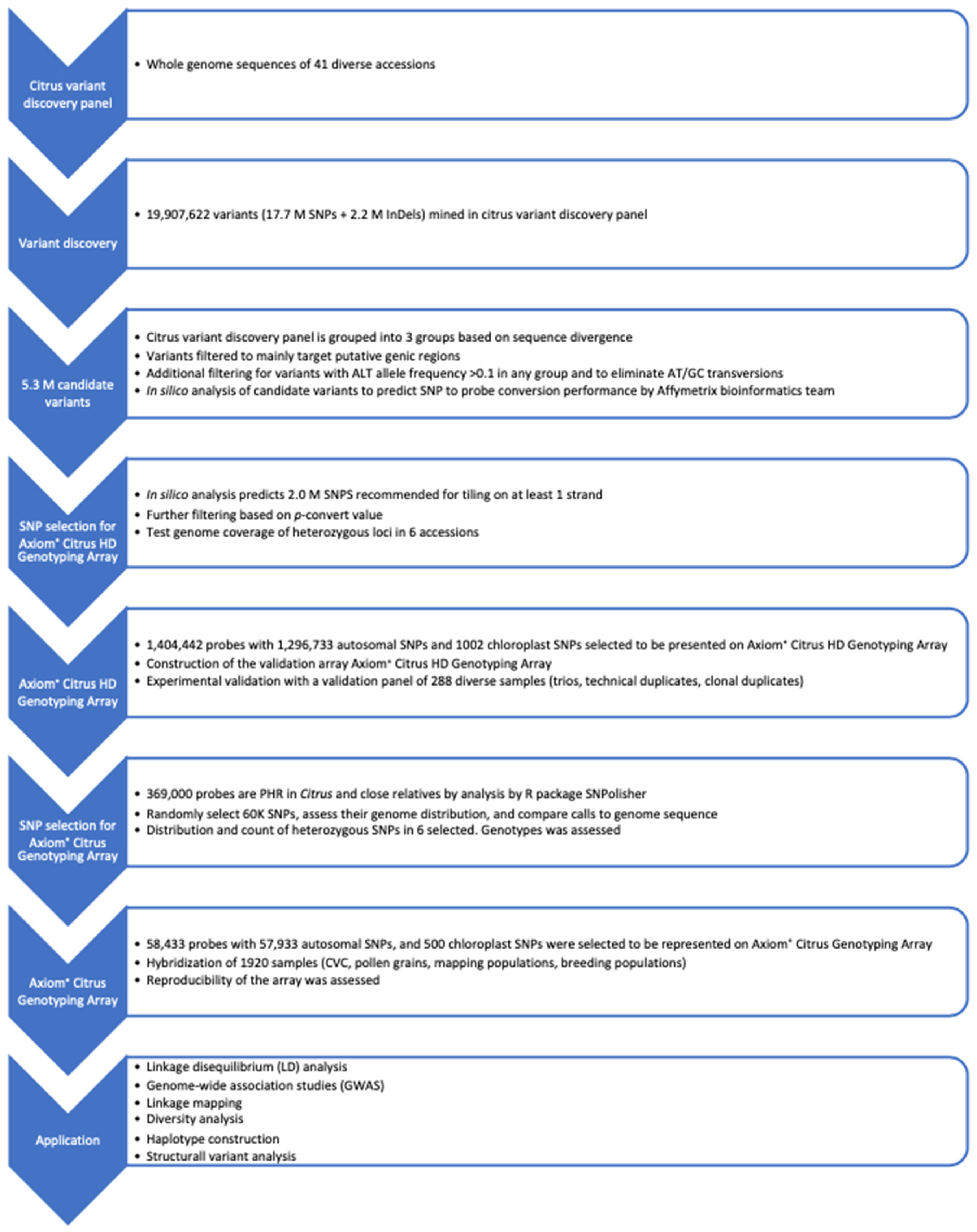 Plants 13 00691 g010