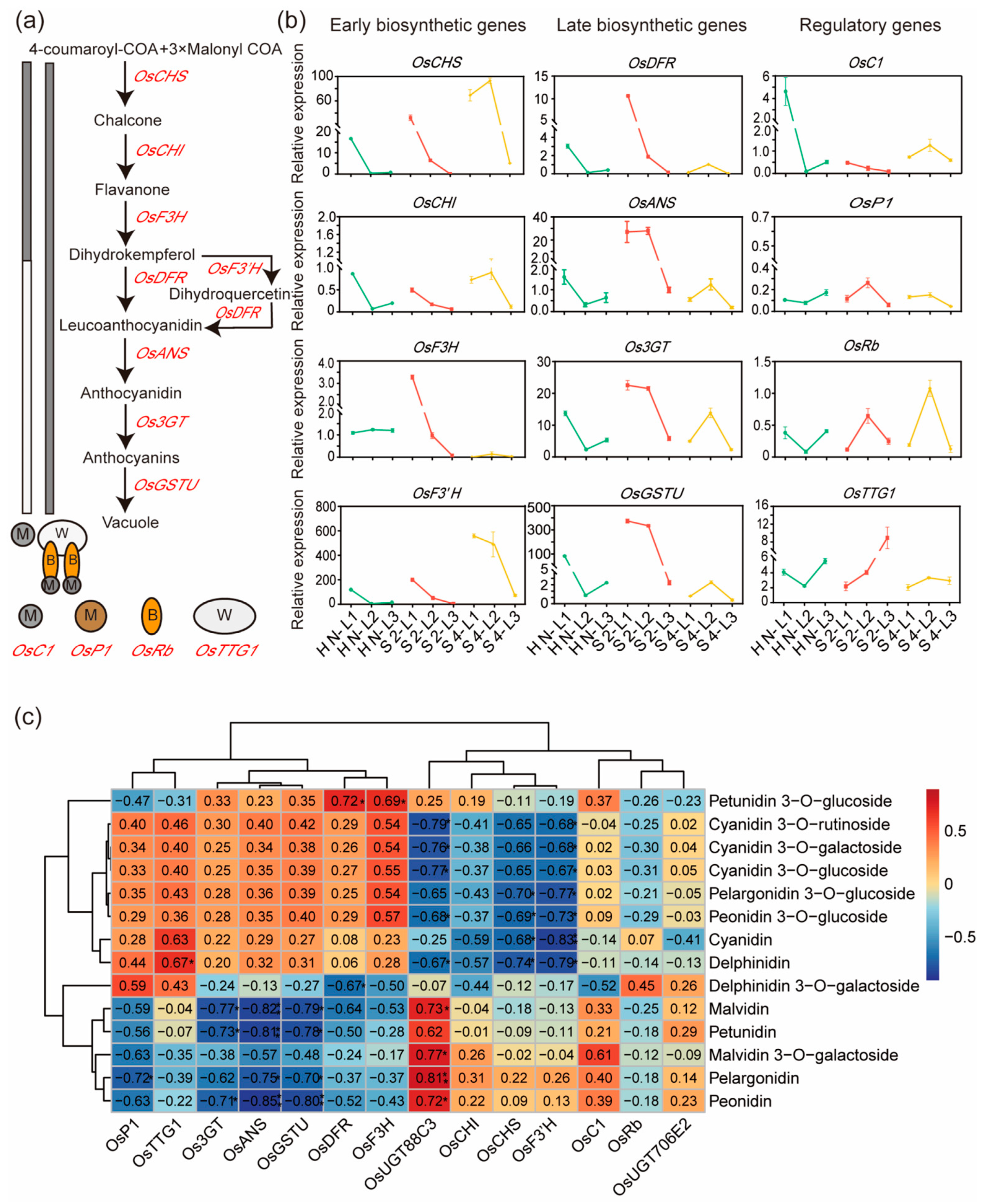 Plants 13 00697 g002