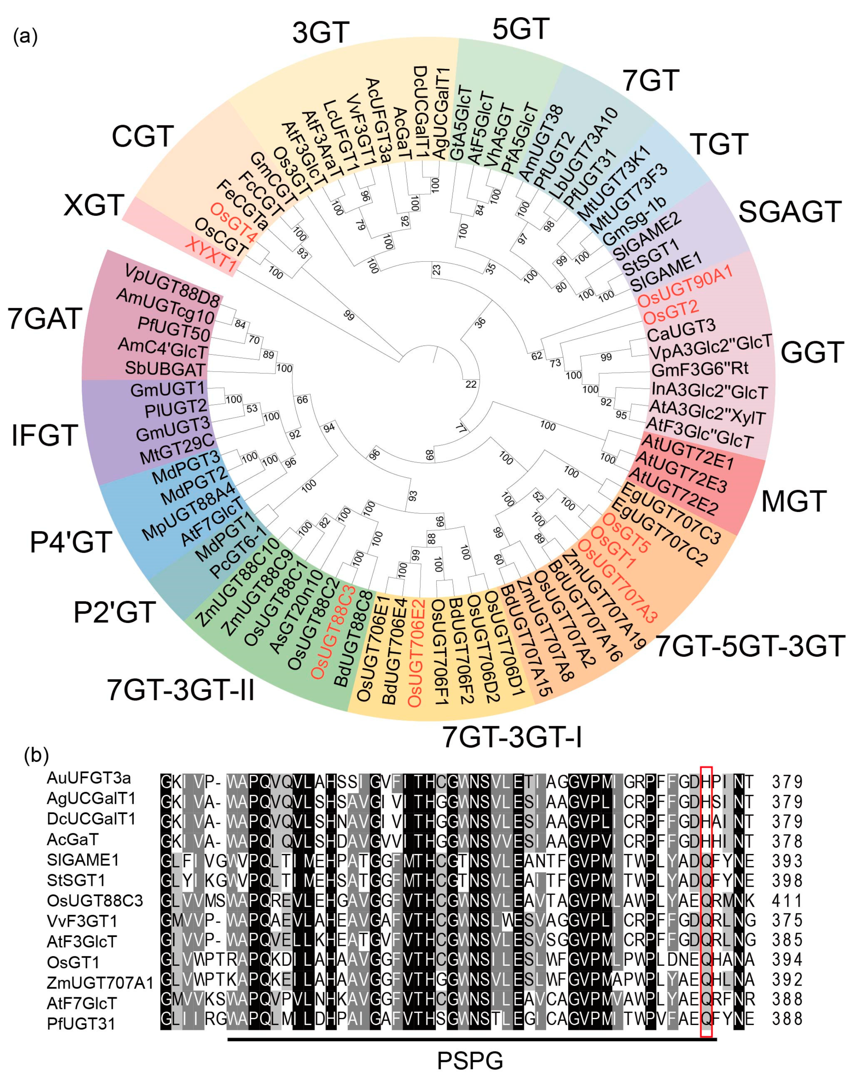 Plants 13 00697 g005