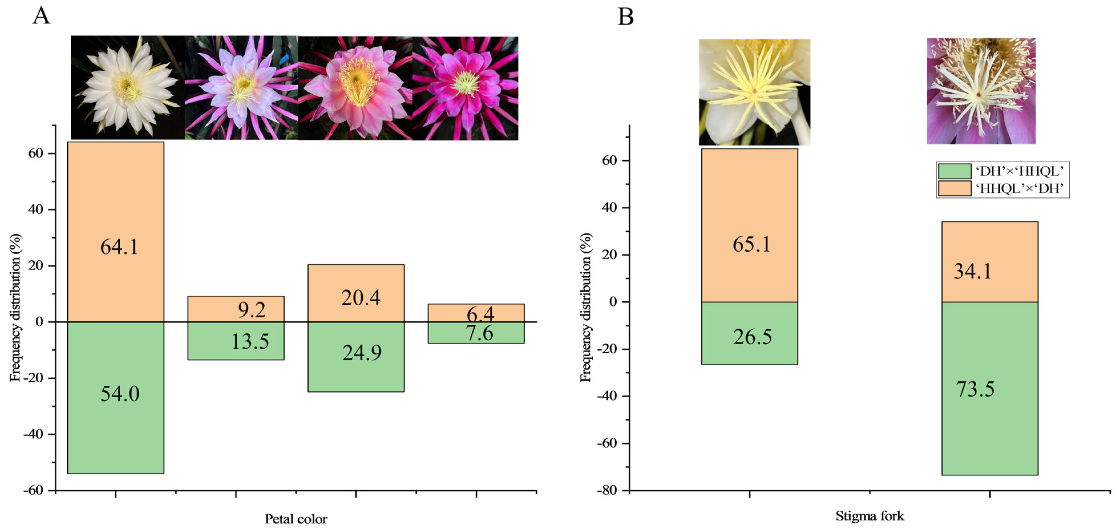 Plants 13 00699 g002