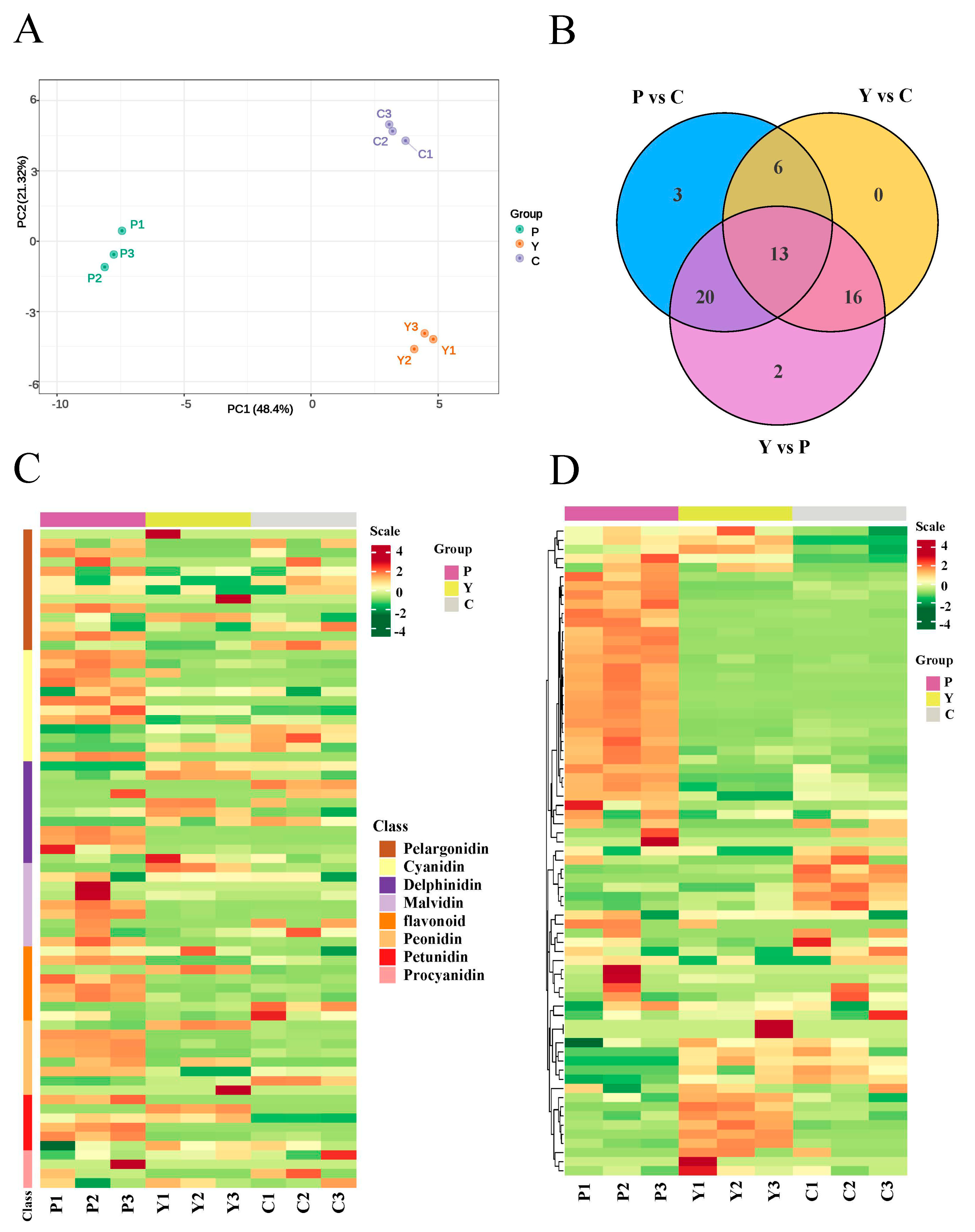 Plants 13 00700 g002