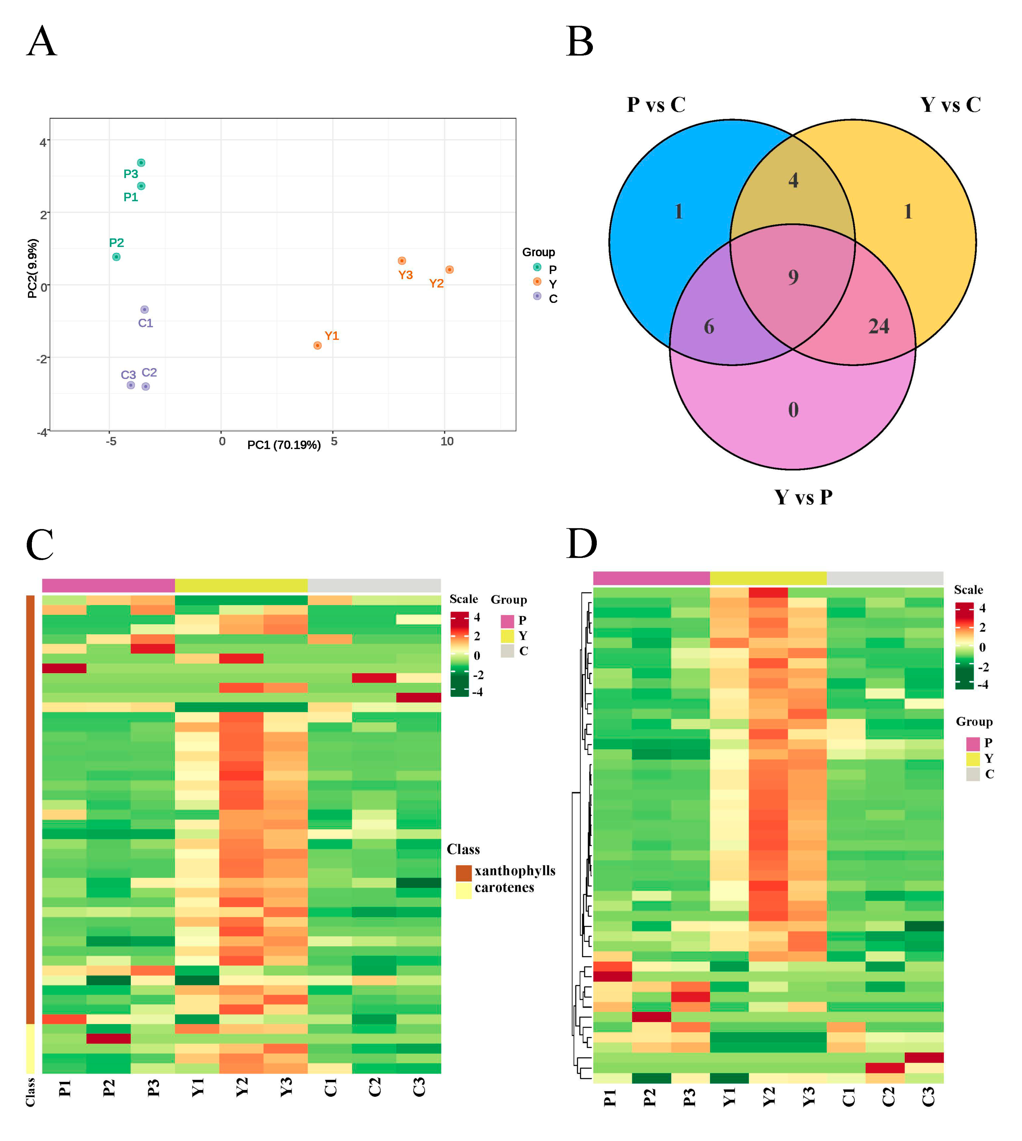 Plants 13 00700 g004