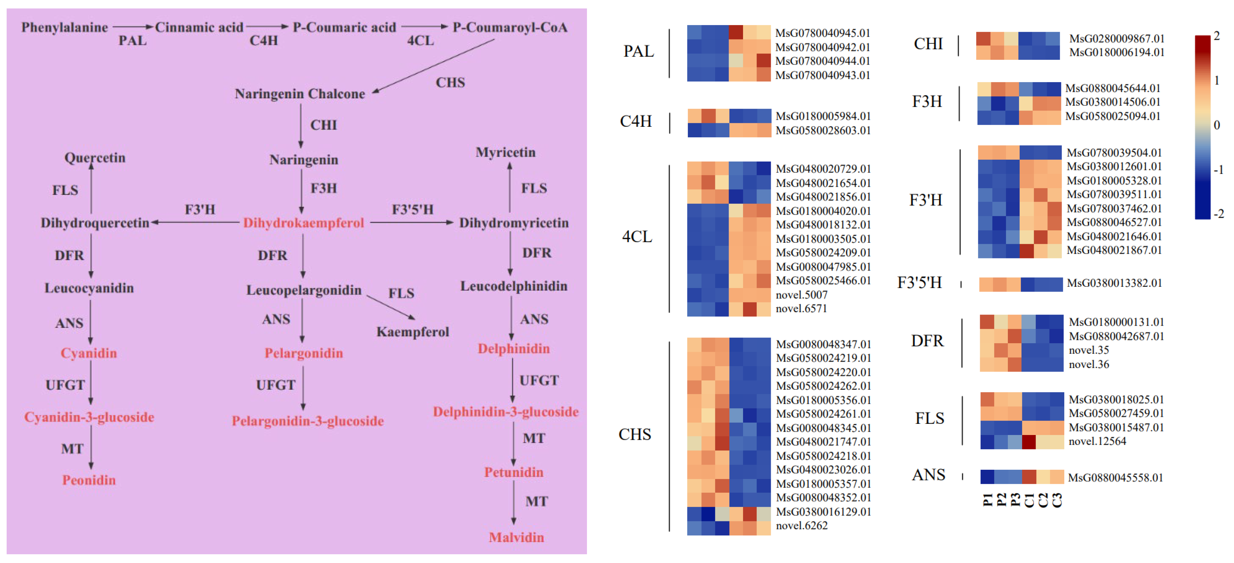 Plants 13 00700 g006
