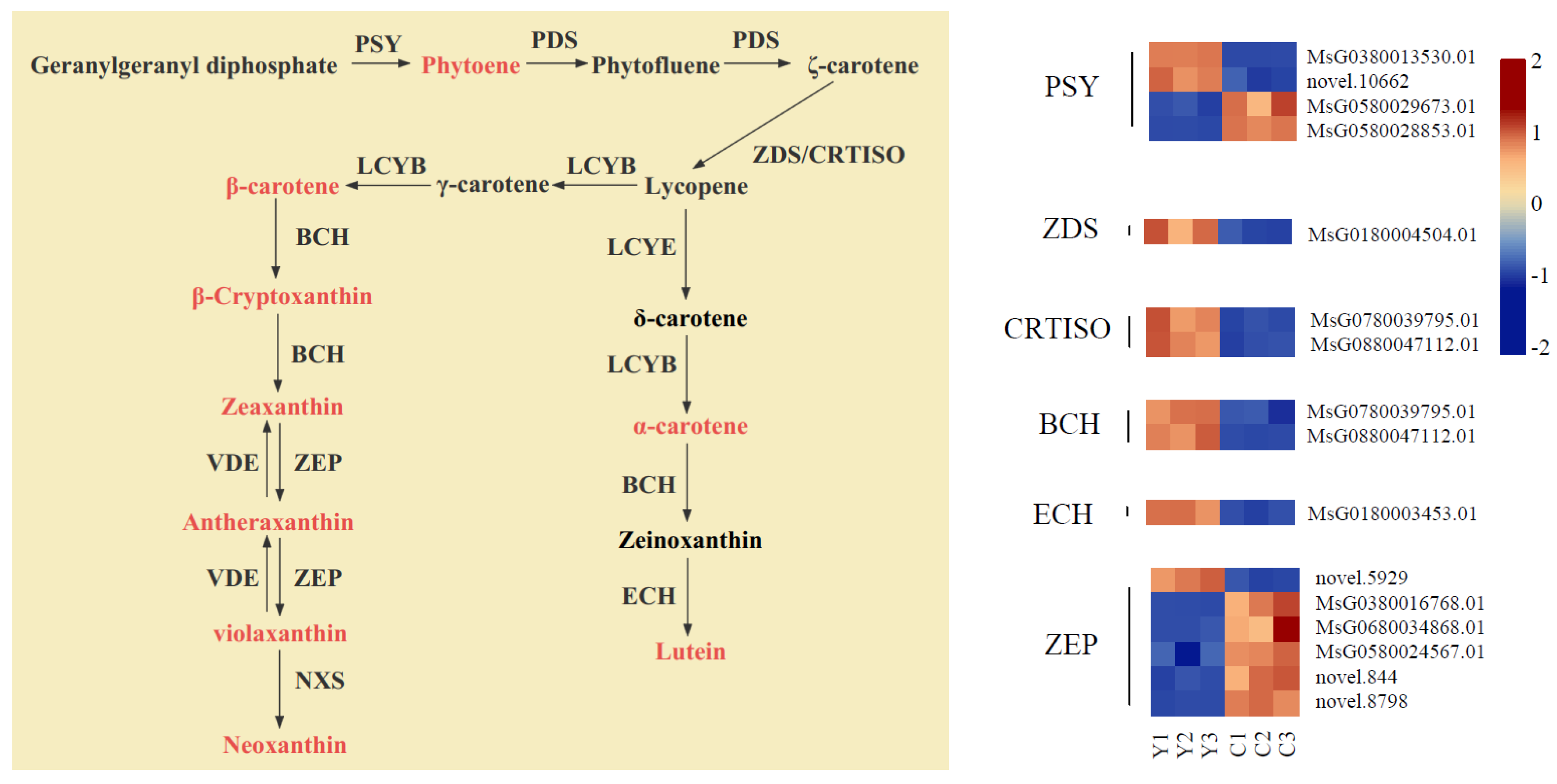 Plants 13 00700 g007
