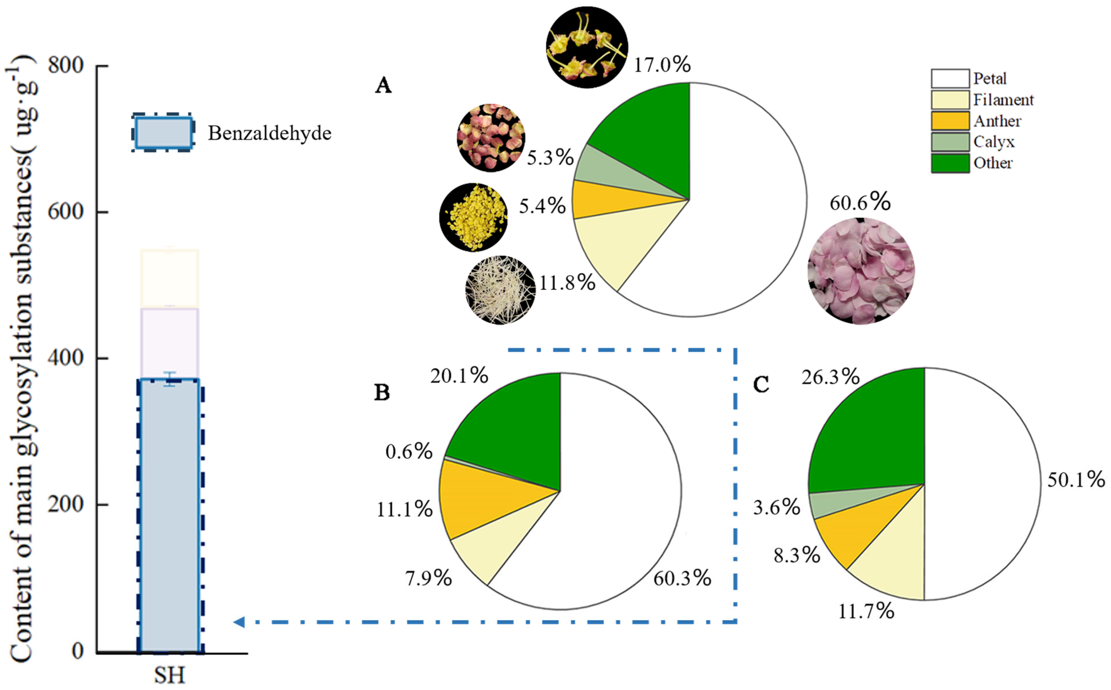 Plants 13 00703 g002