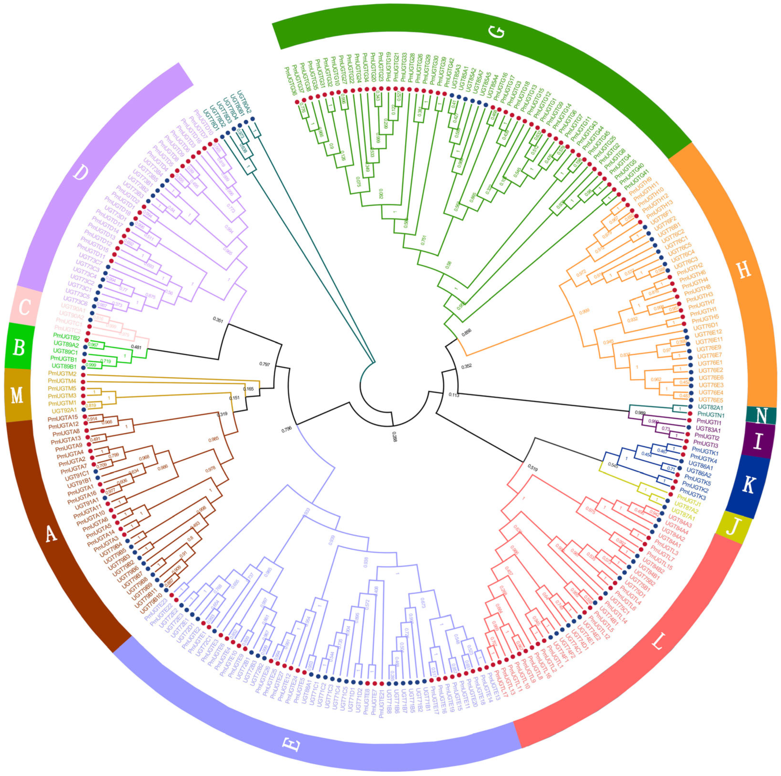 Plants 13 00703 g005