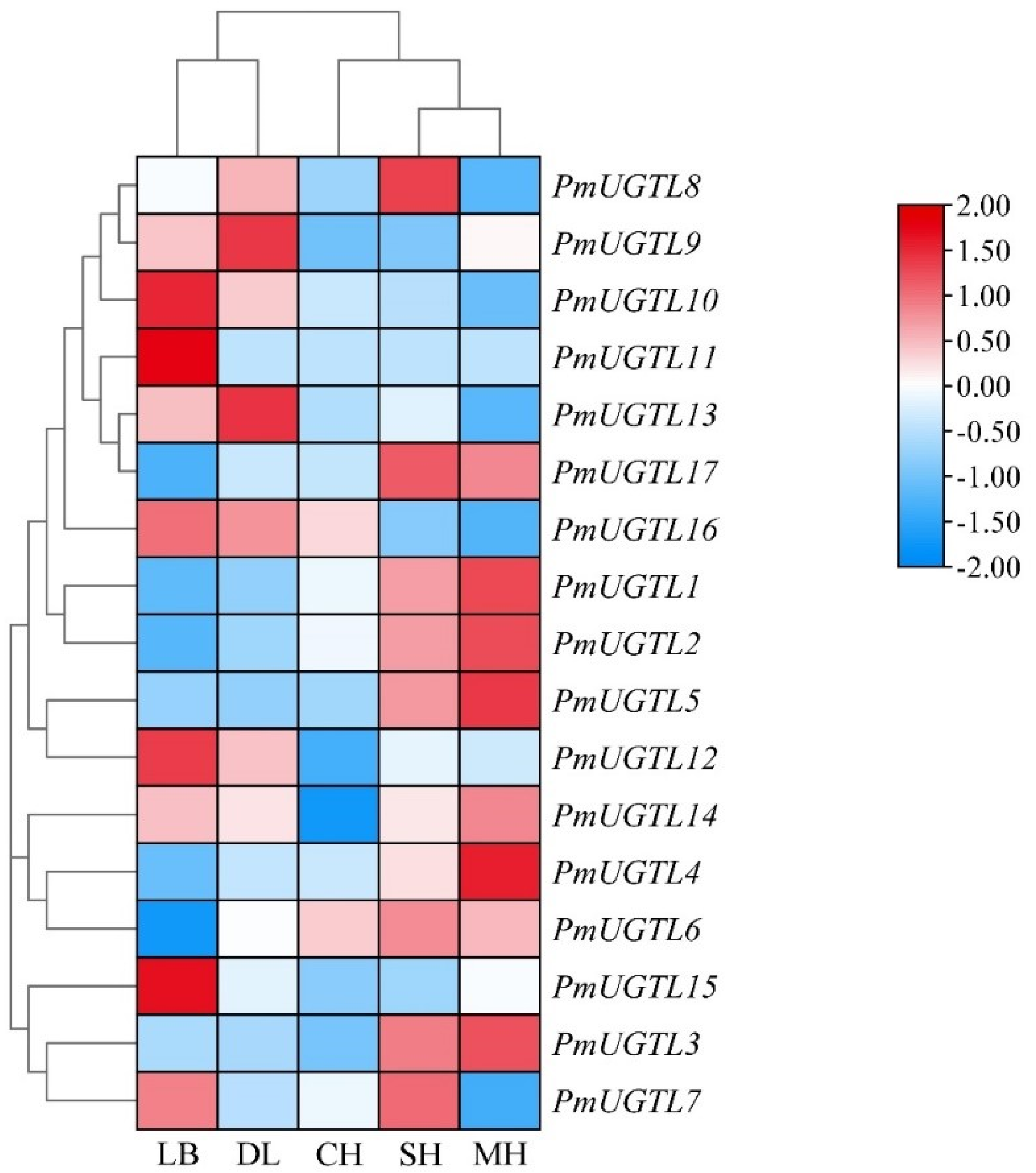 Plants 13 00703 g007