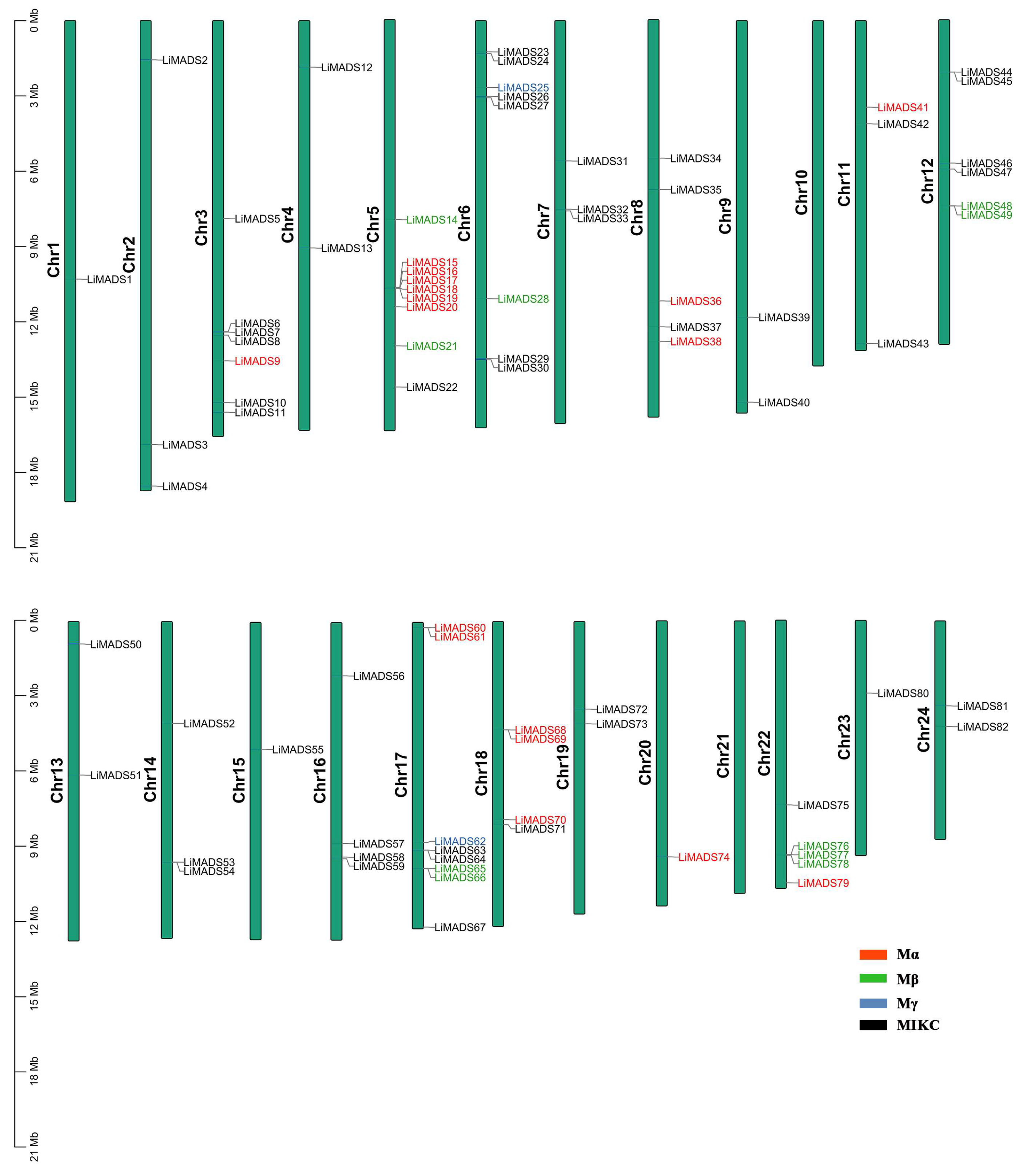 Plants 13 00709 g002