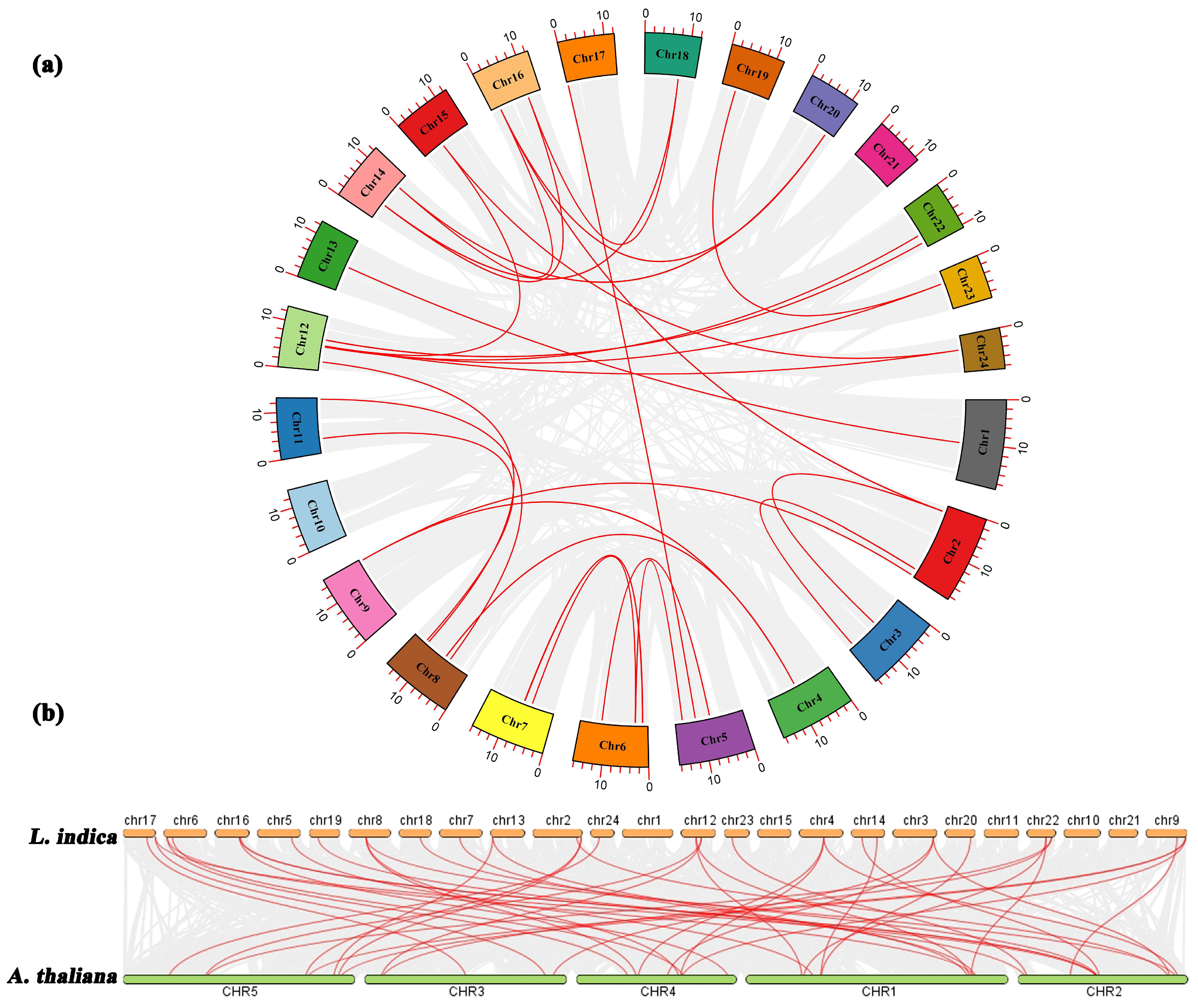 Plants 13 00709 g003