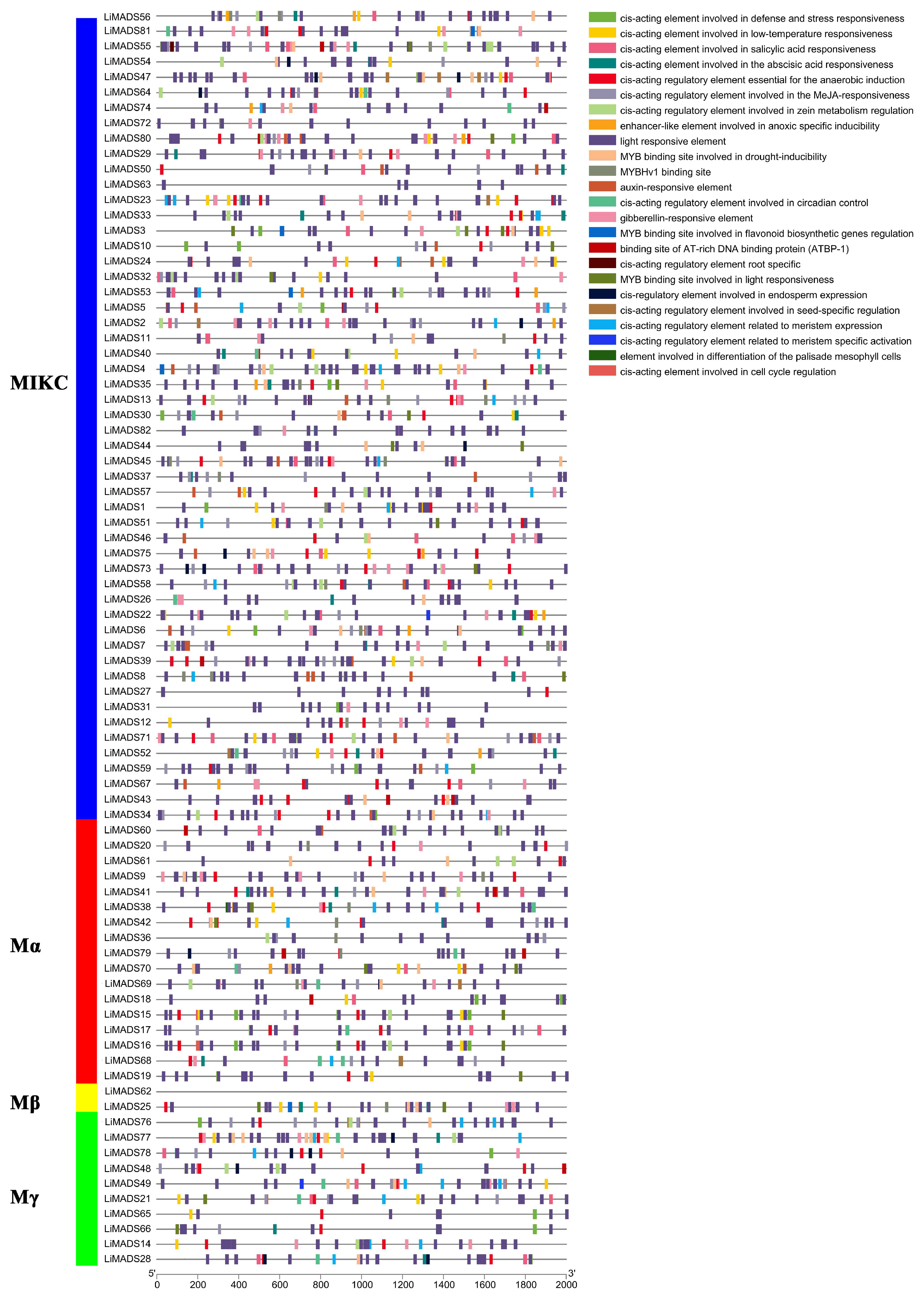 Plants 13 00709 g005