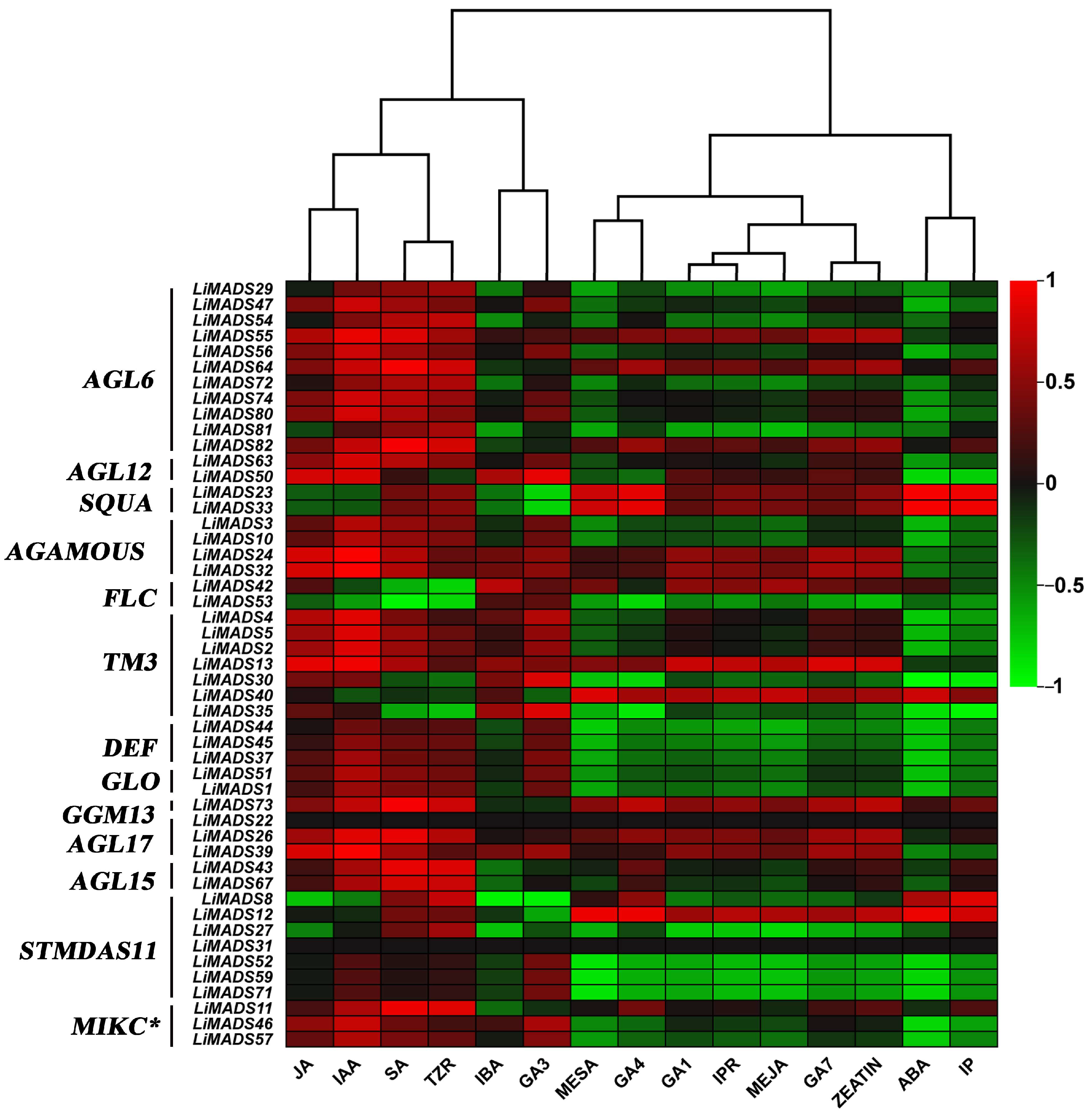 Plants 13 00709 g011
