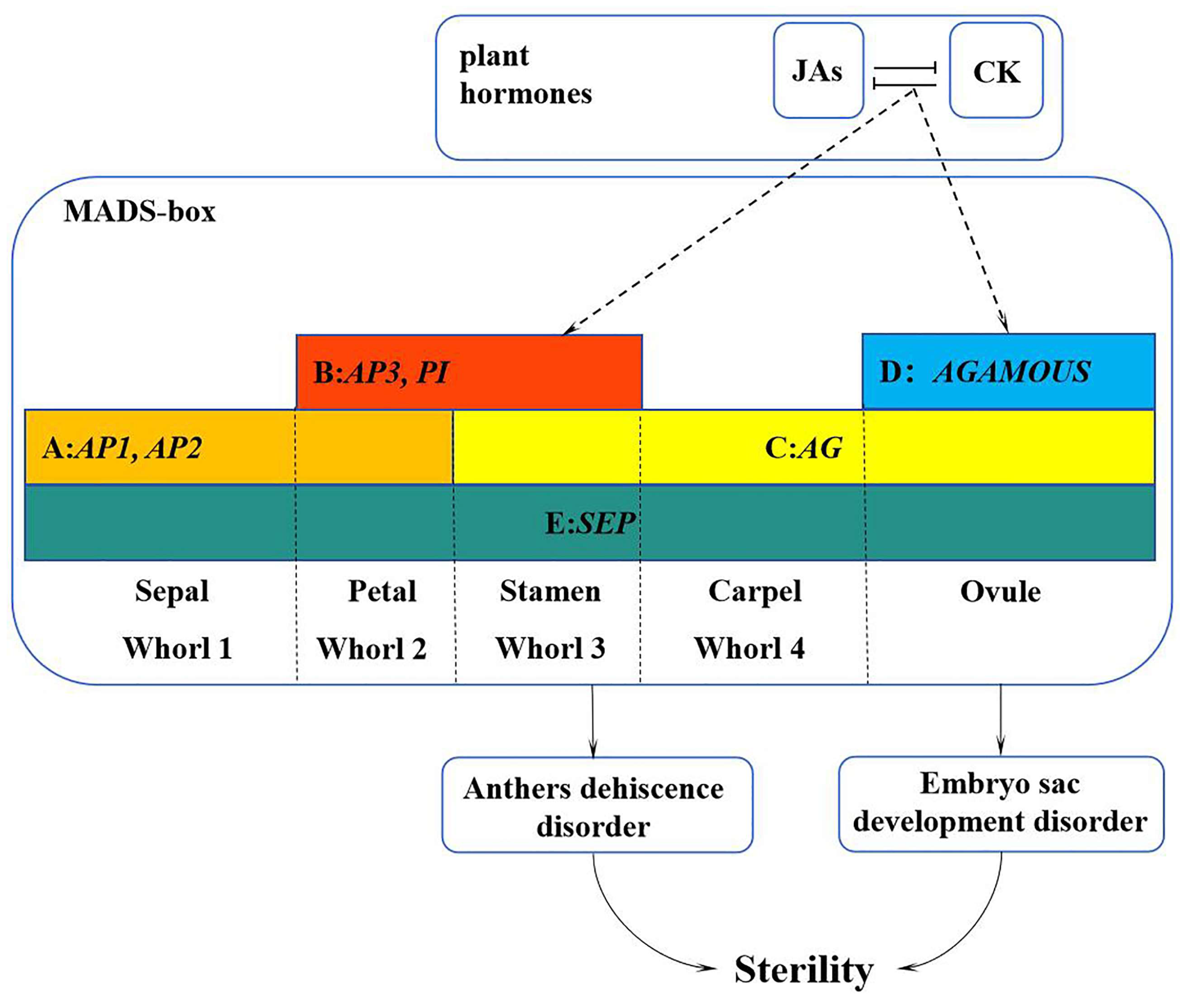 Plants 13 00709 g012
