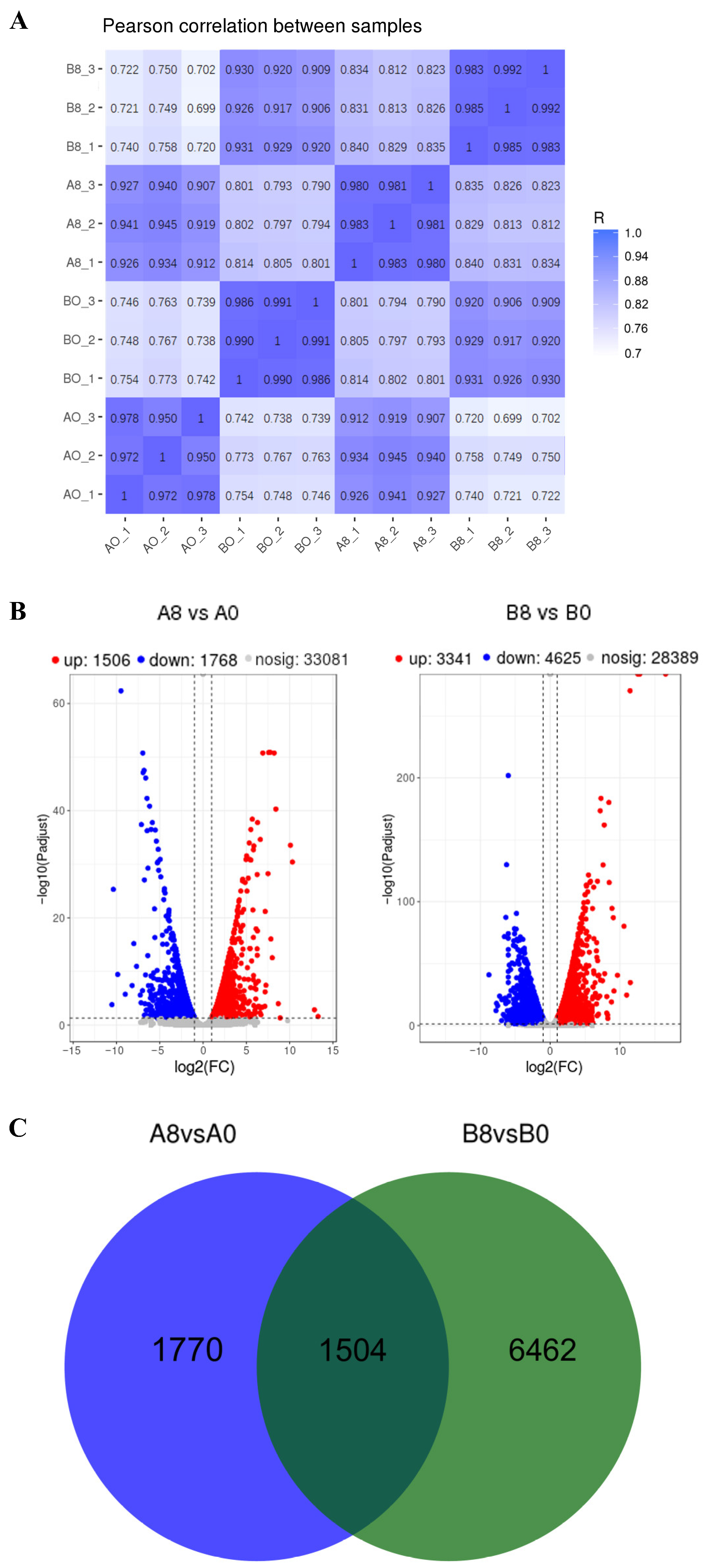 Plants 13 00712 g002