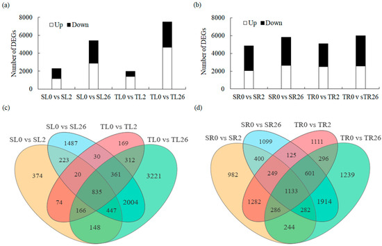 RNa Frontiers | Identification of differentially expressed genes