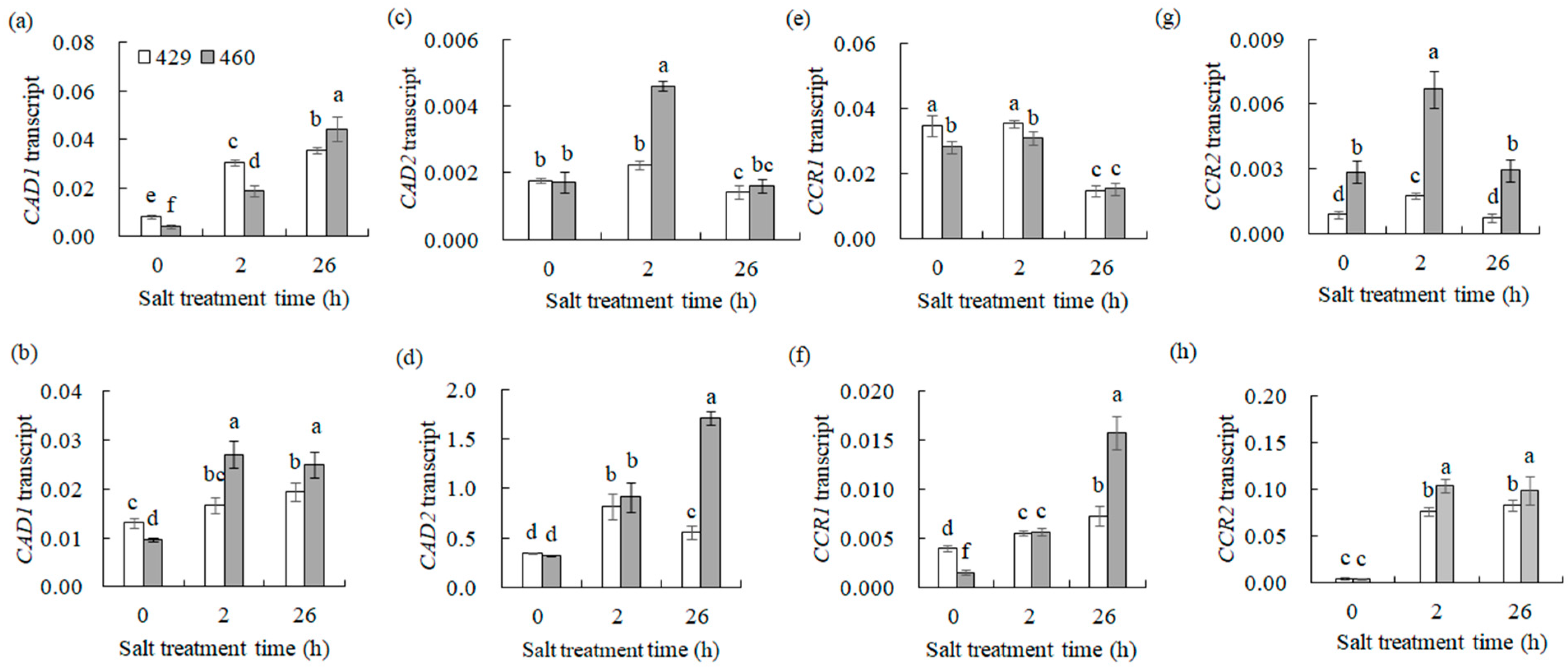 Plants 13 00714 g004