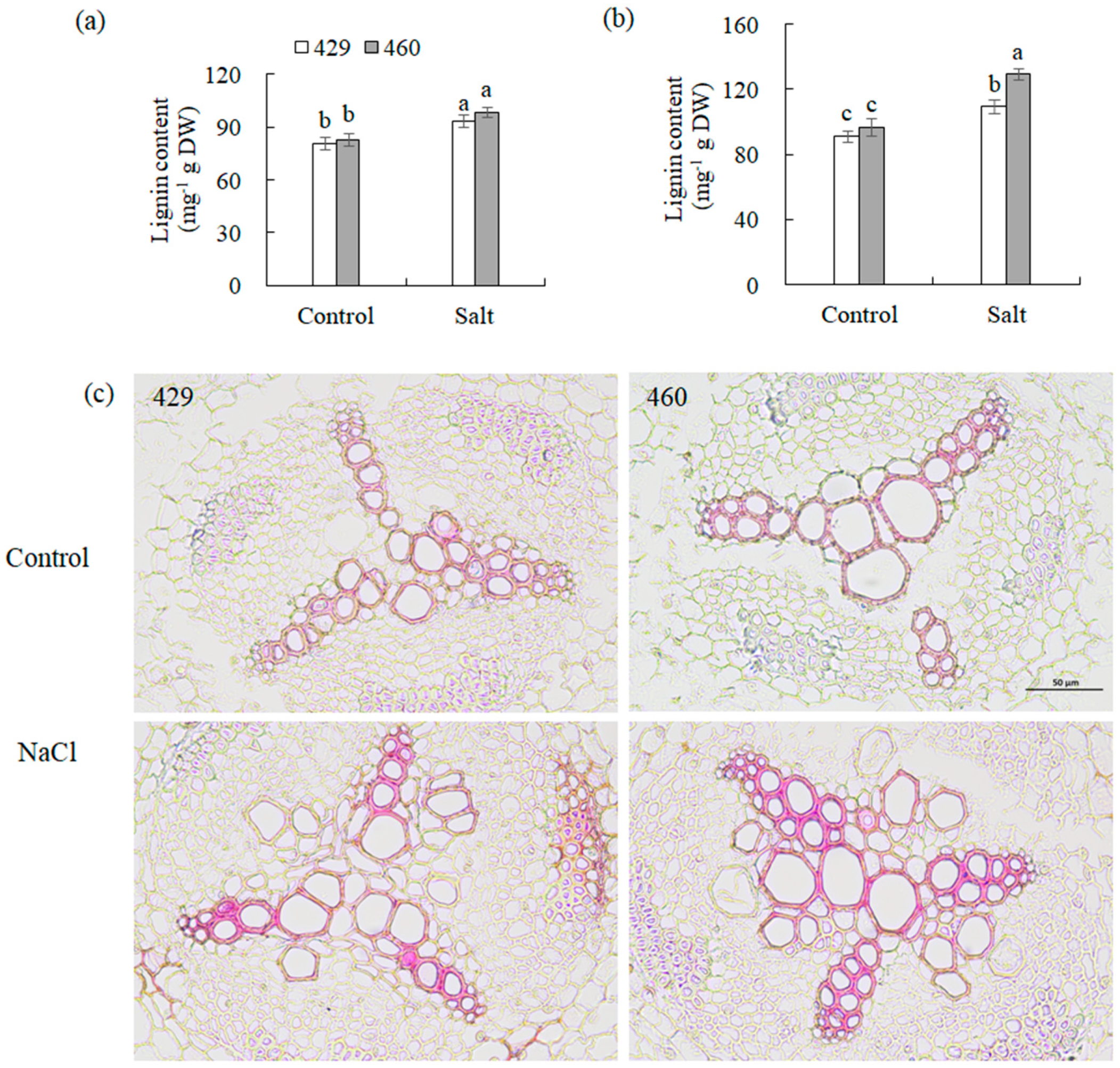 Plants 13 00714 g005