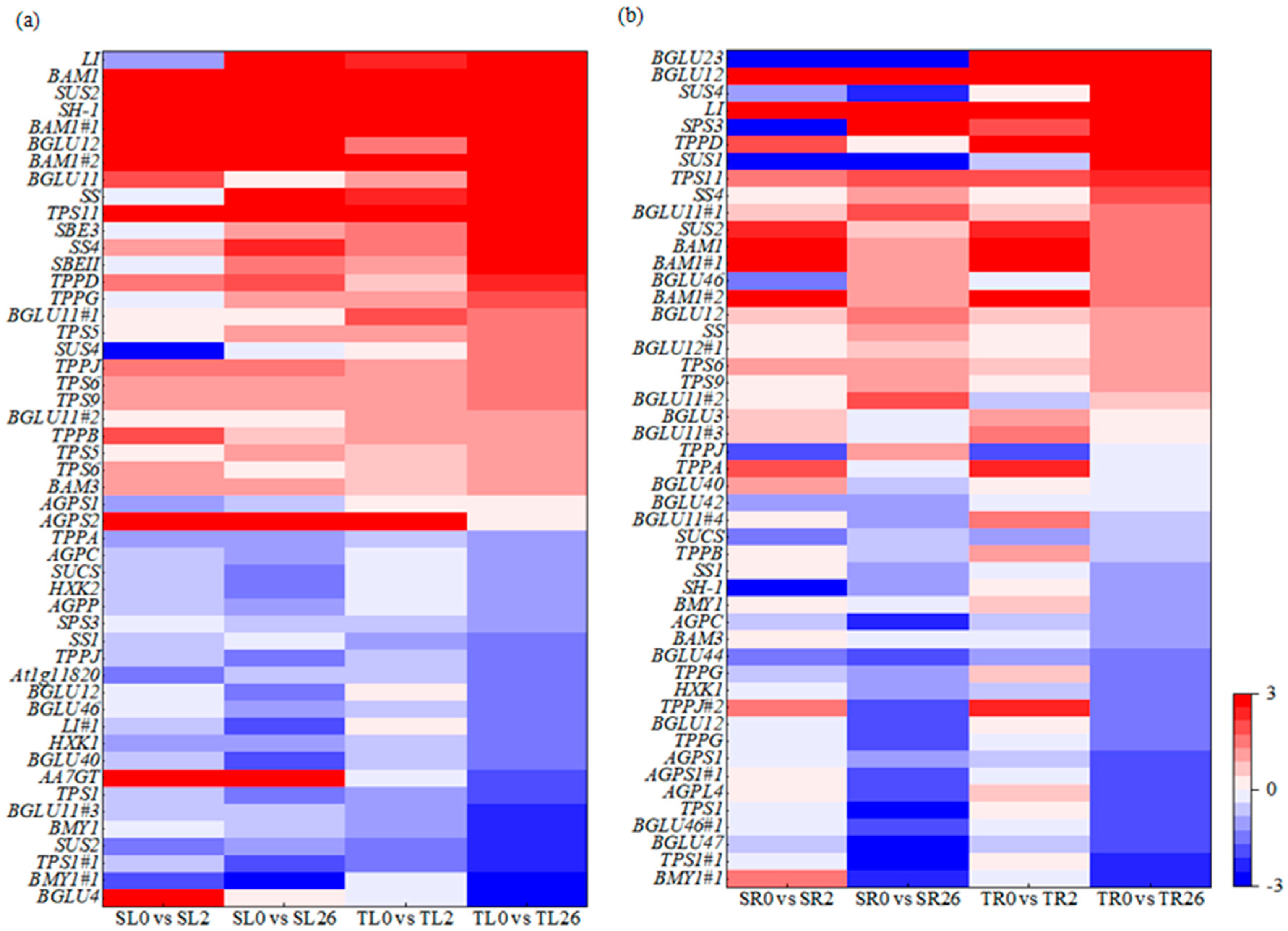 Plants 13 00714 g006