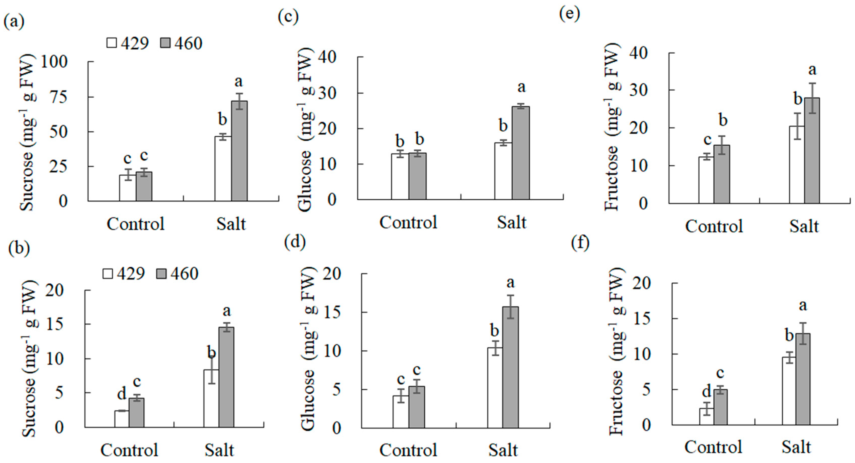 Plants 13 00714 g007