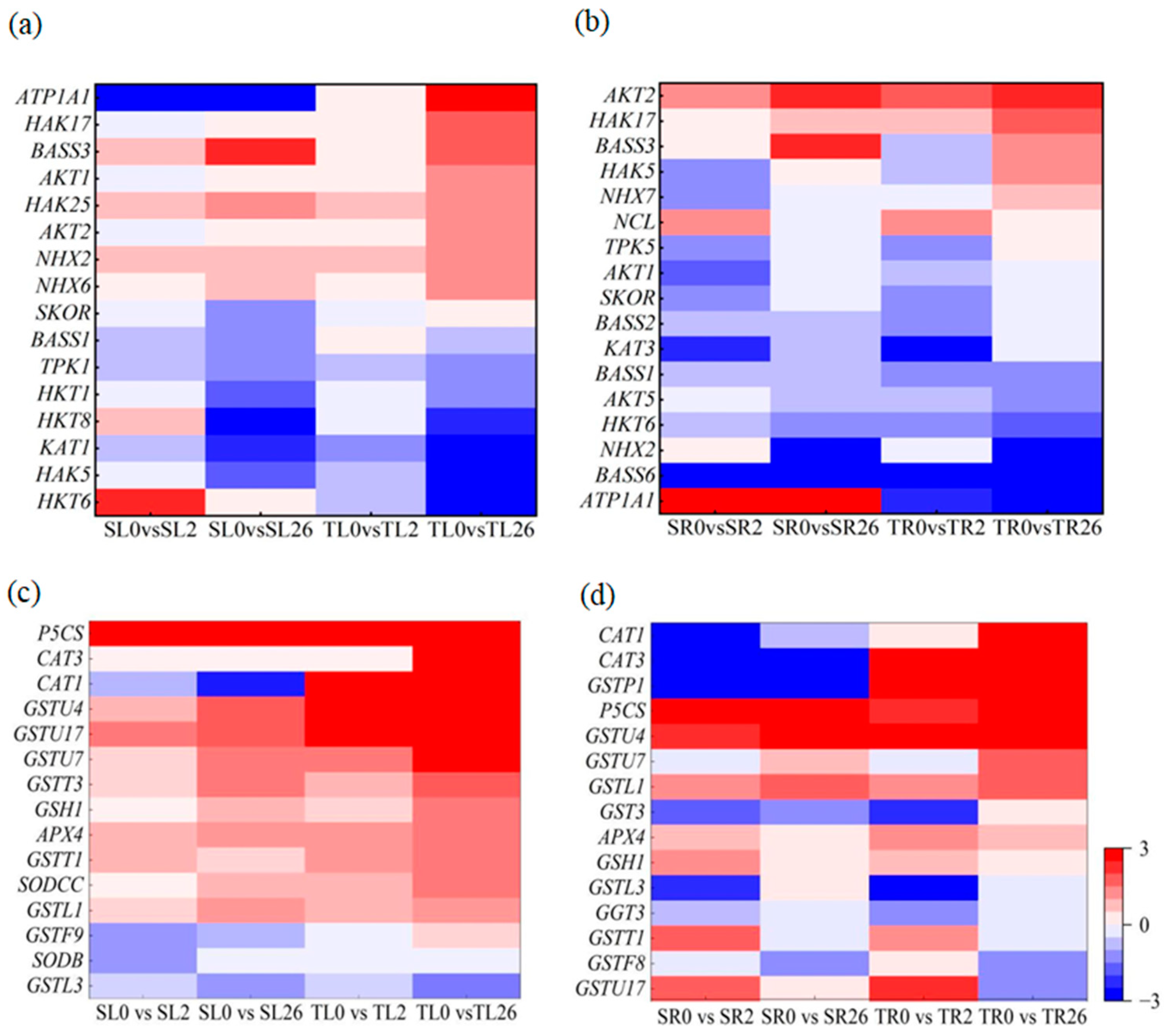 Plants 13 00714 g008