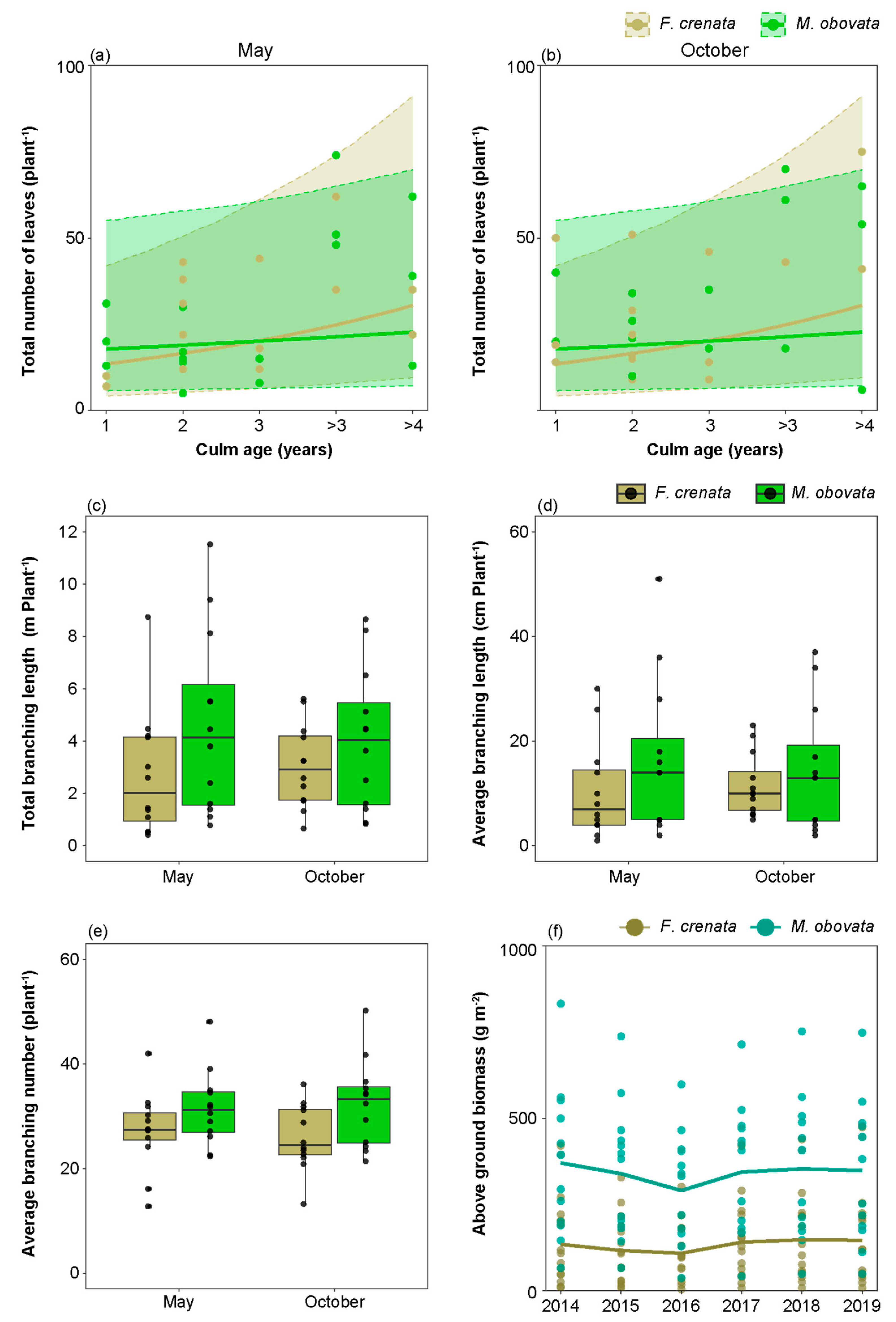 Plants 13 00719 g007